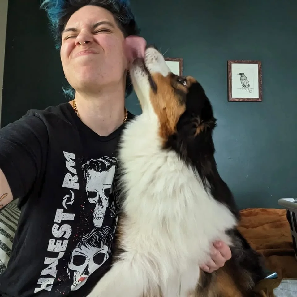 A black tricolor australian shepherd licks the left ear of a person with blue hair facing the camera.