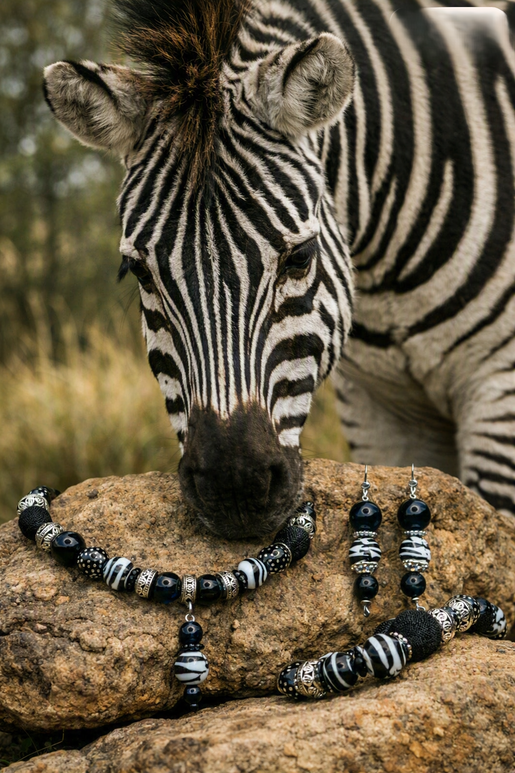 Zebra Wildlife - 3 Piece Set