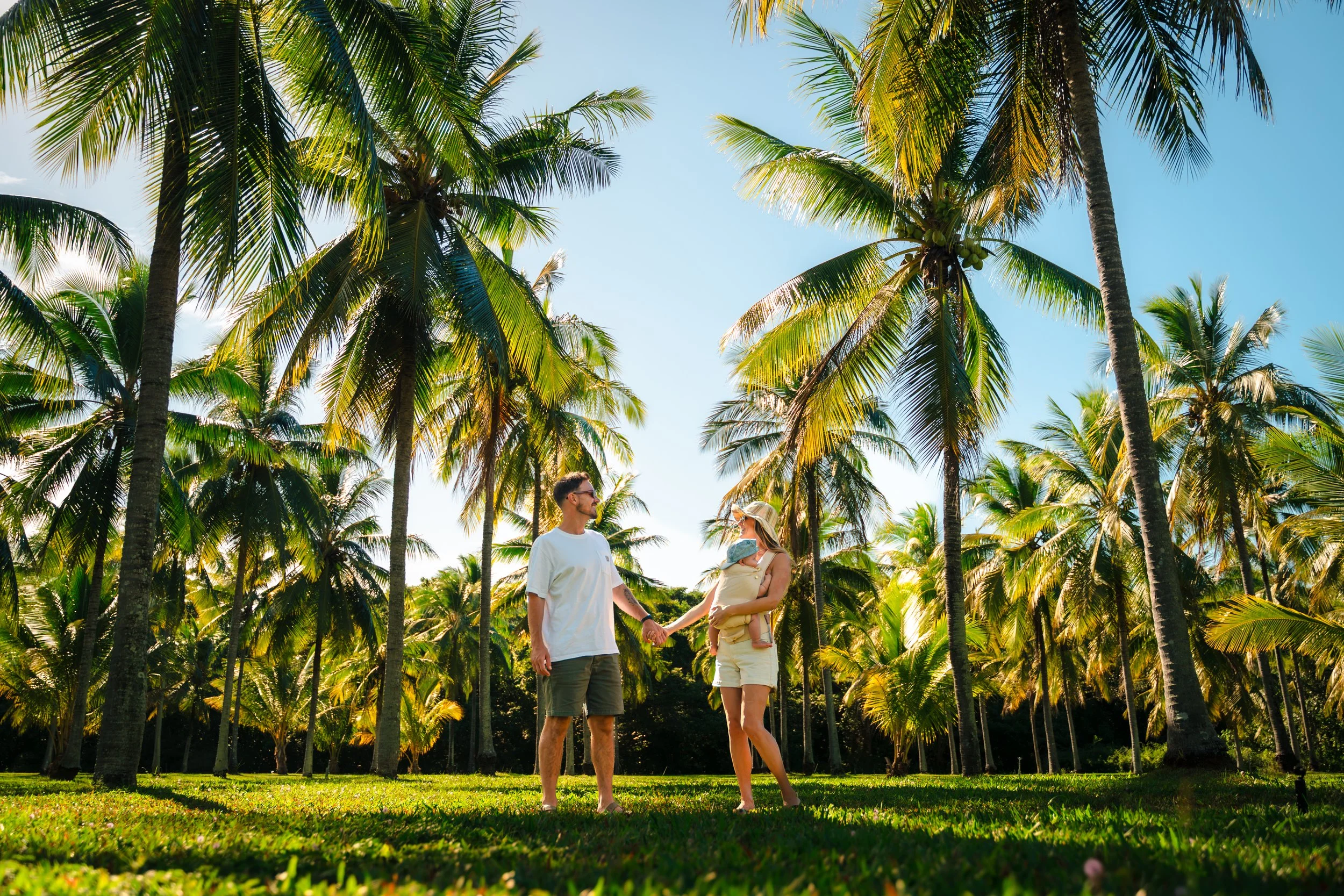 A family of three standing in a lush palm grove on a sunny day. The man and woman are holding hands, and the woman is holding a baby, with all three smiling and facing each other. Tall palm trees with green fronds surround them, and the sky is clear and blue.