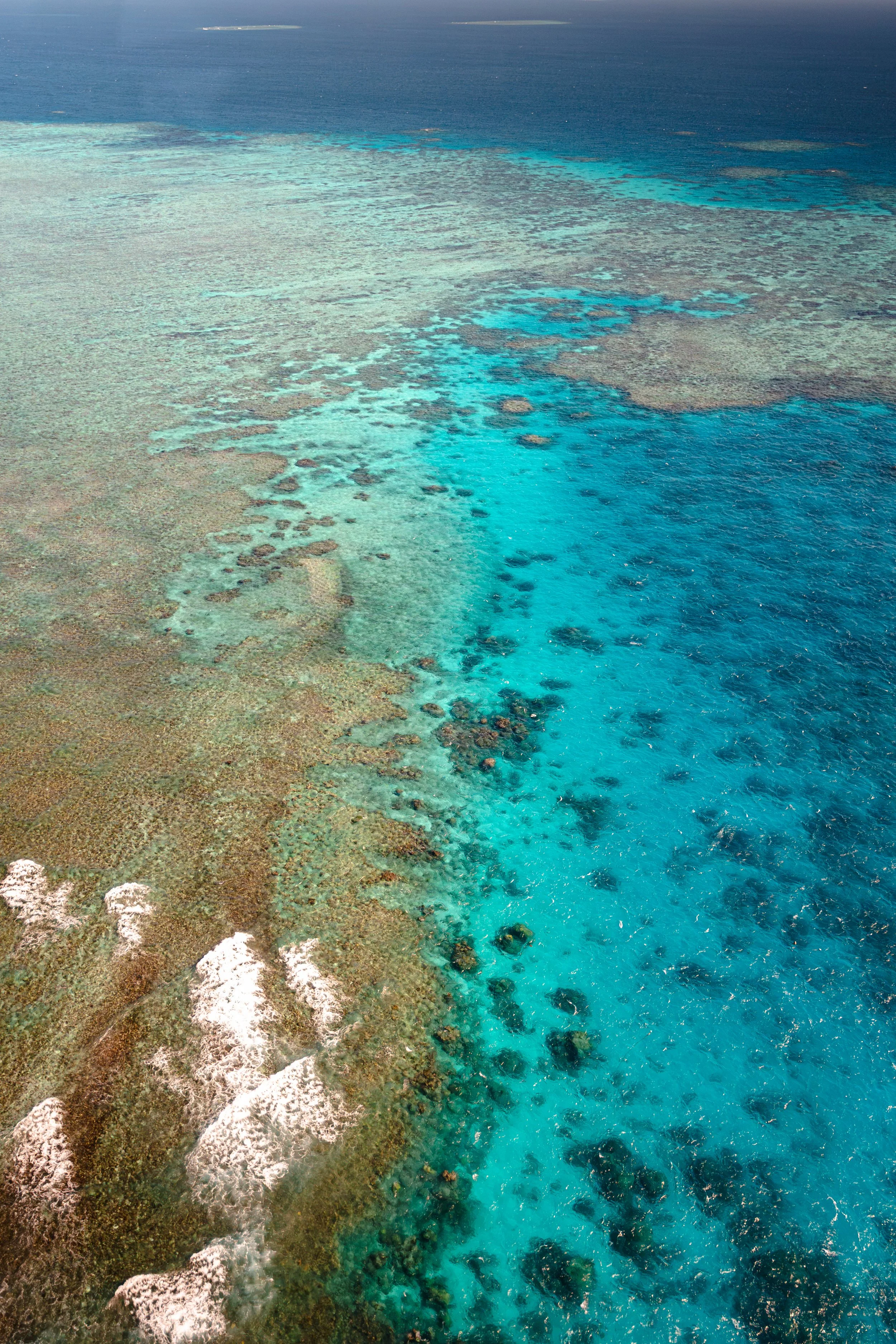 Aerial view of a coral reef with turquoise waters and rocks along the coast