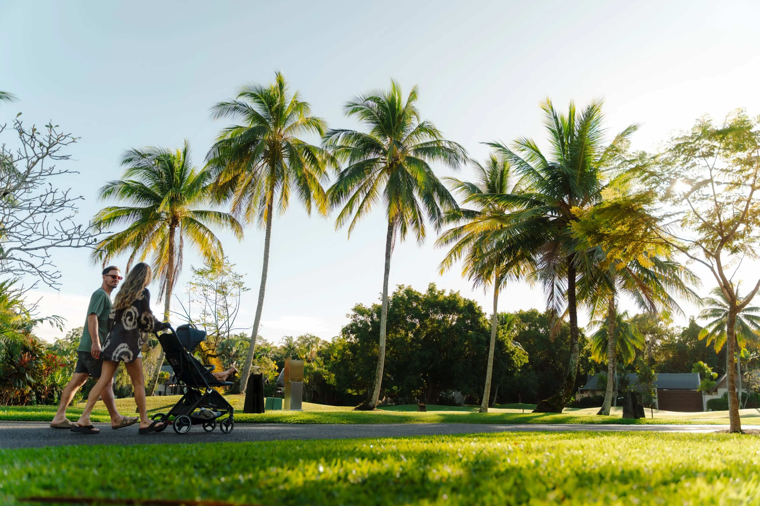 A man and woman walking on a sidewalk pushing a baby stroller in a park with tall palm trees and lush greenery, bright sunlight shining through the trees.