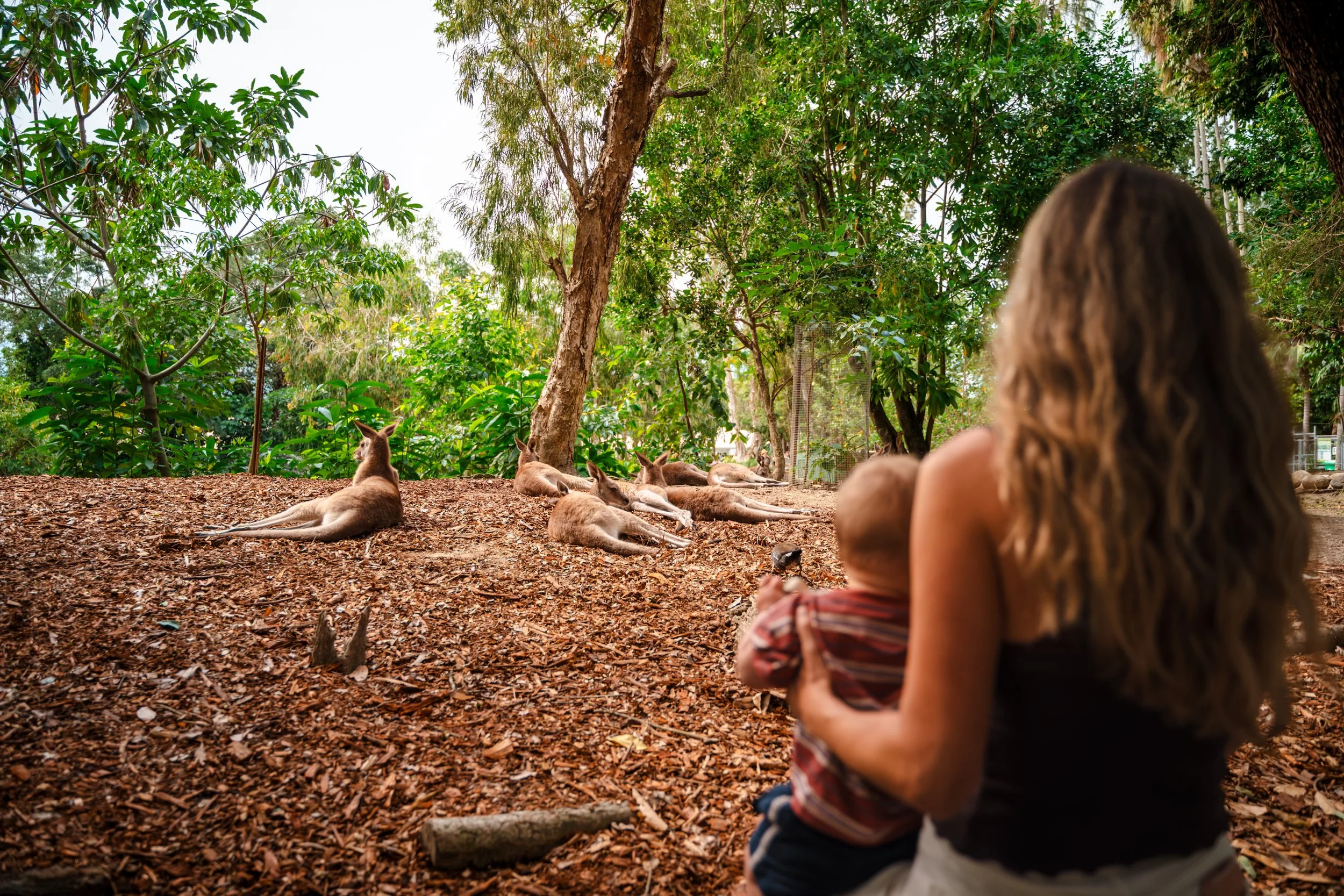 Port Douglas-22.jpeg