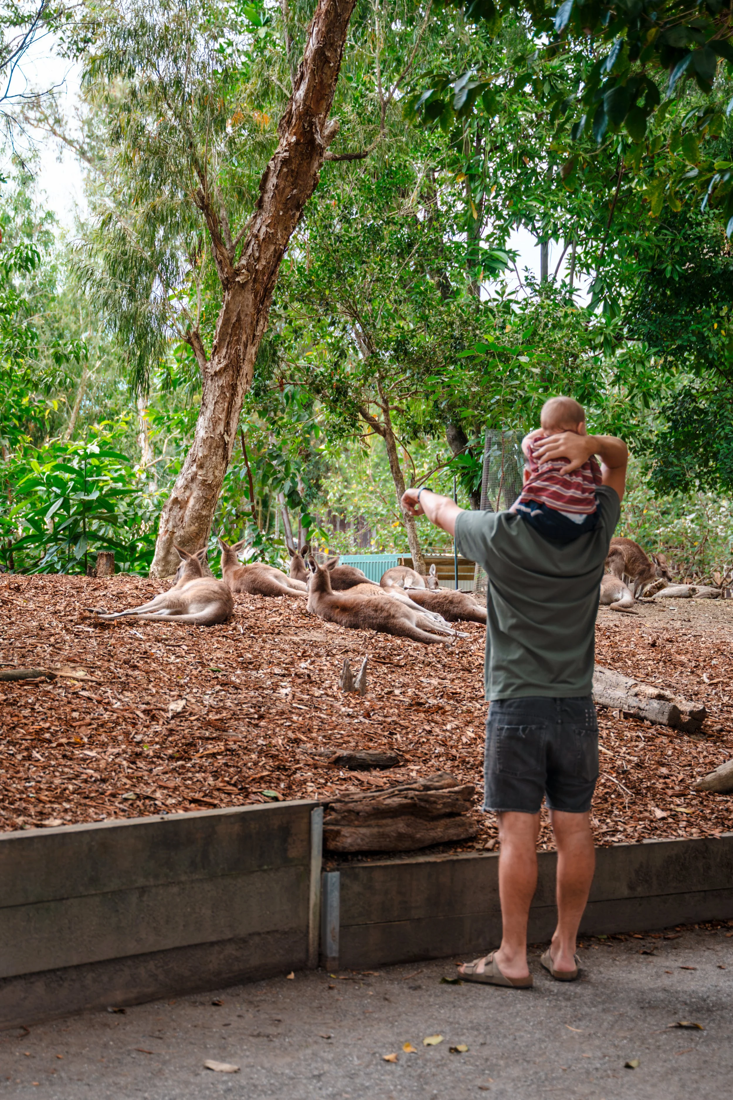 Port Douglas-24.jpg