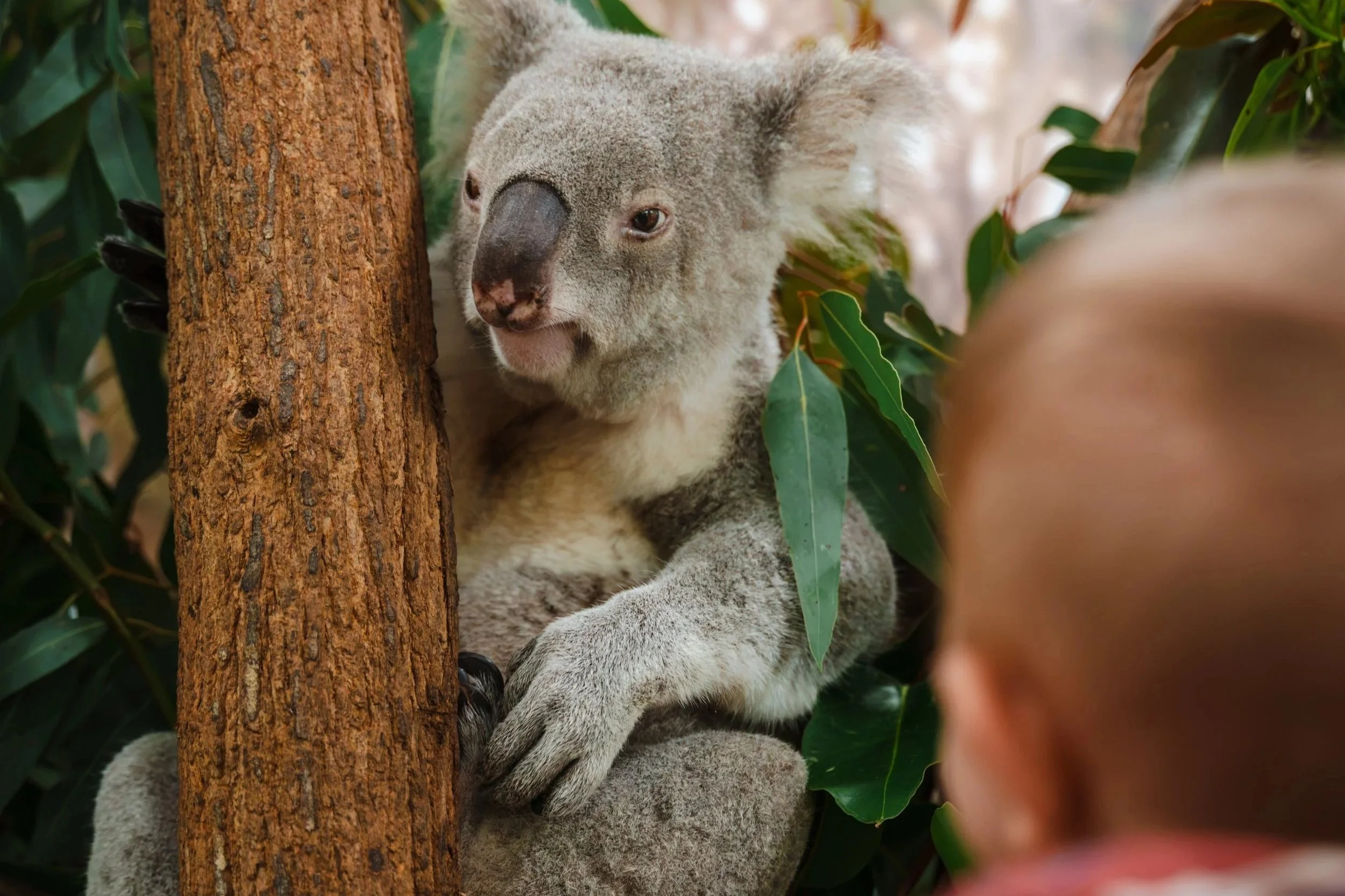 Wildlife Sanctuary