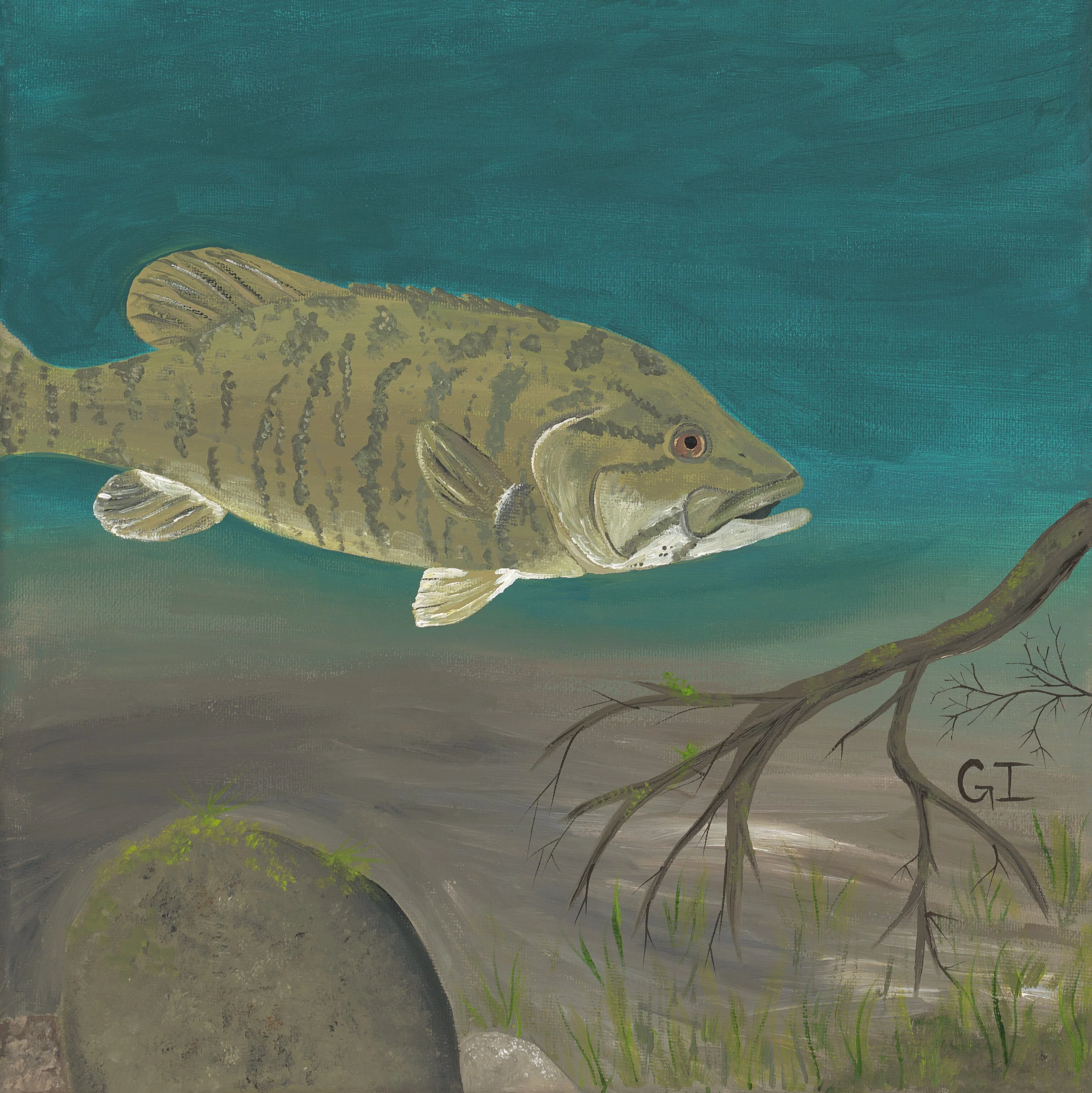Smallmouth and Rocks.jpg