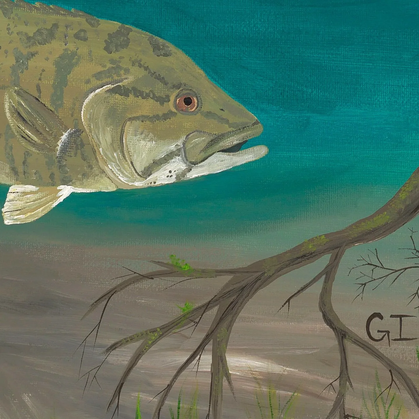 Smallmouth+and+Rocks.jpg