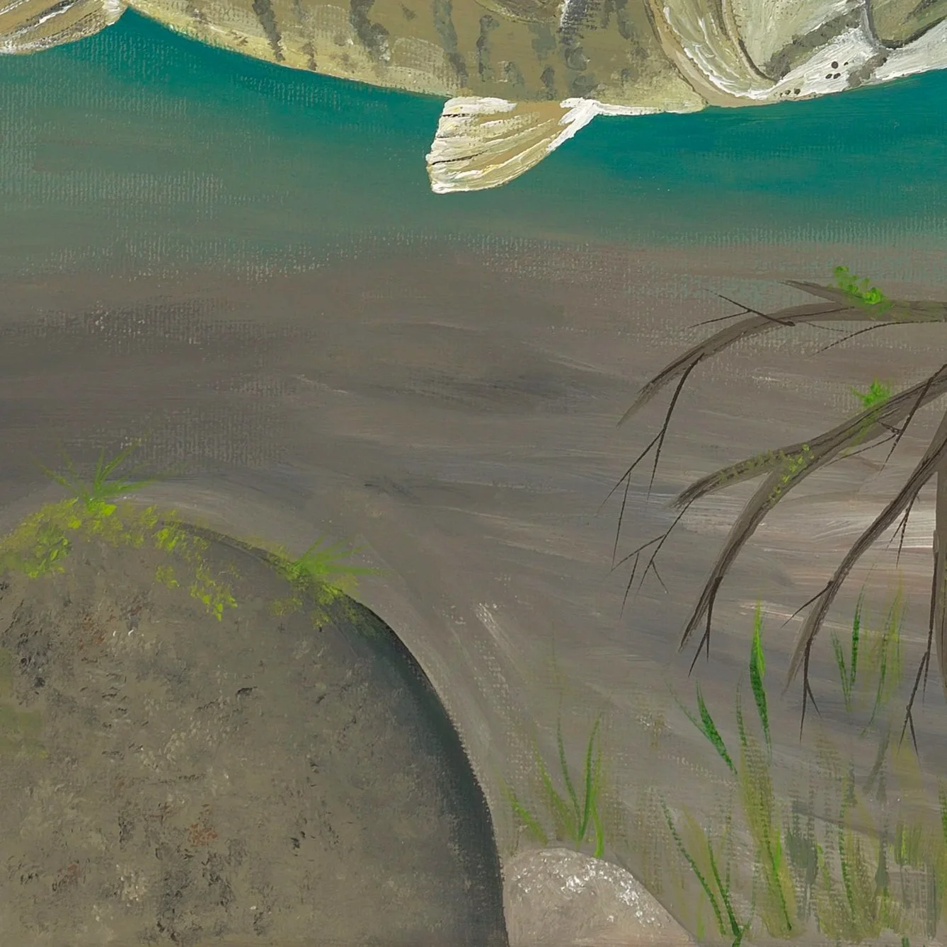 Smallmouth+and+Rocks.jpg