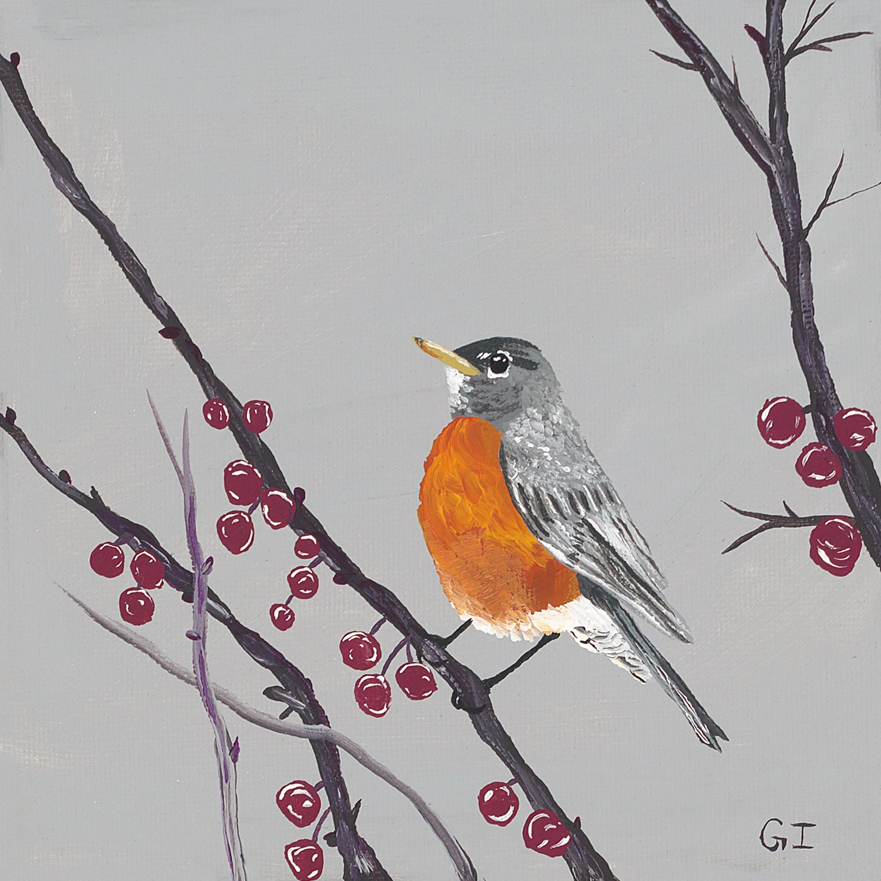 A Chilly Robin.jpg