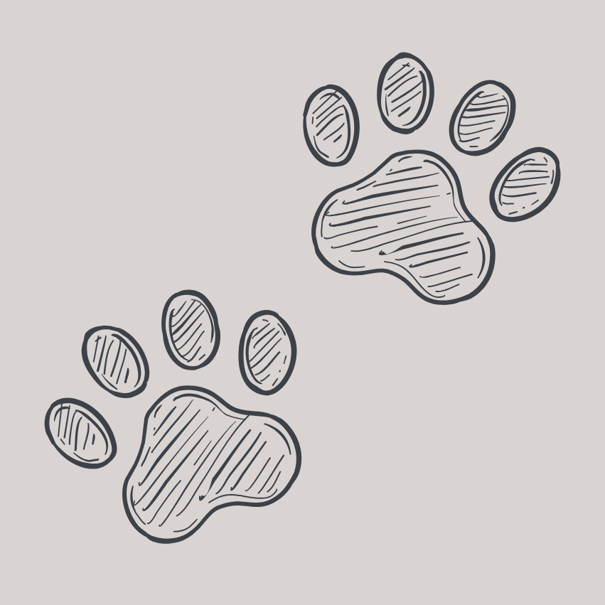 Hand-drawn illustration of two animal paw prints on a gray background.