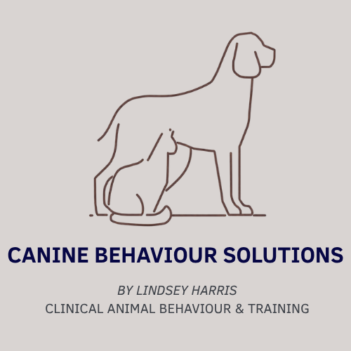 Canine Behaviour Solutions