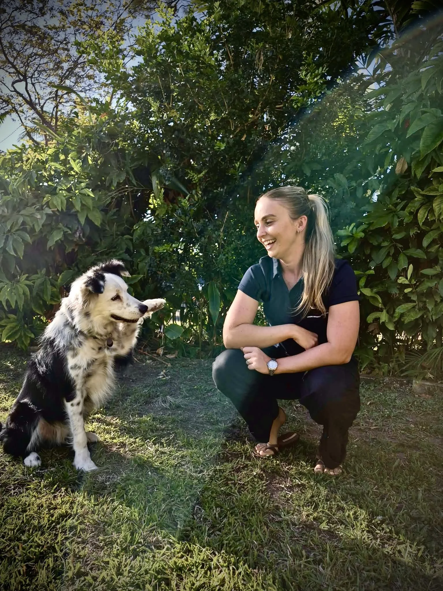 A woman with long blonde hair sitting on the grass, smiling at a black and white Australian Shepherd puppy sitting beside her, all surrounded by green bushes and trees on a sunny day.