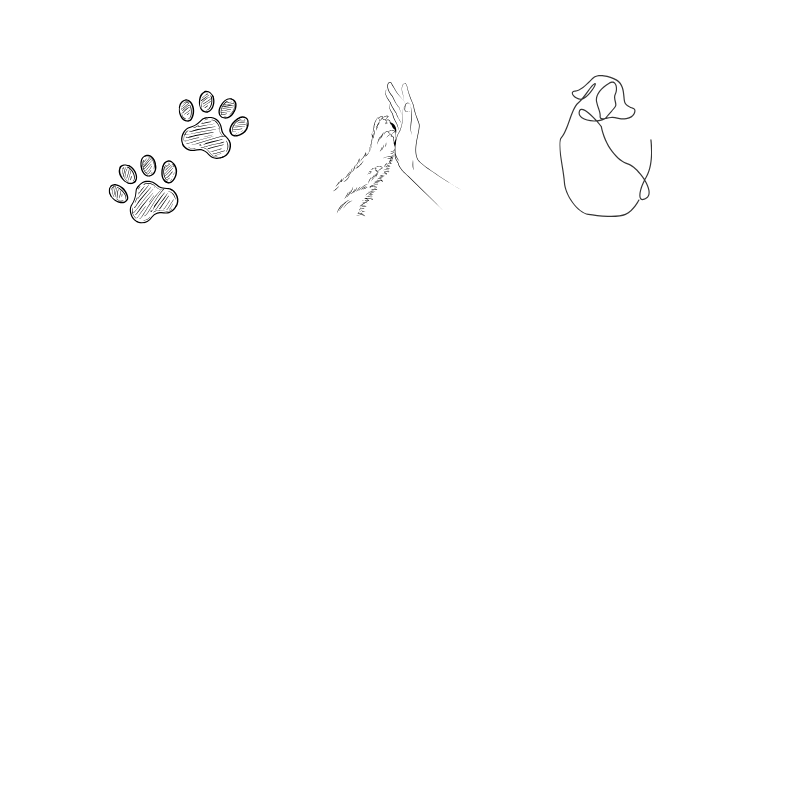 Hand-drawn illustration of two animal paw prints left, line drawing of a human hand touching a dog paw middle, line drawing of a dog with it's back facing forwards right.