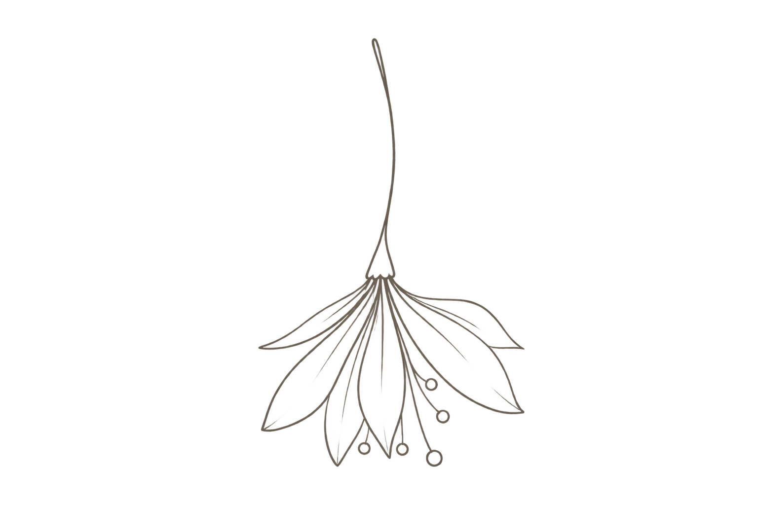 fllower booked.design