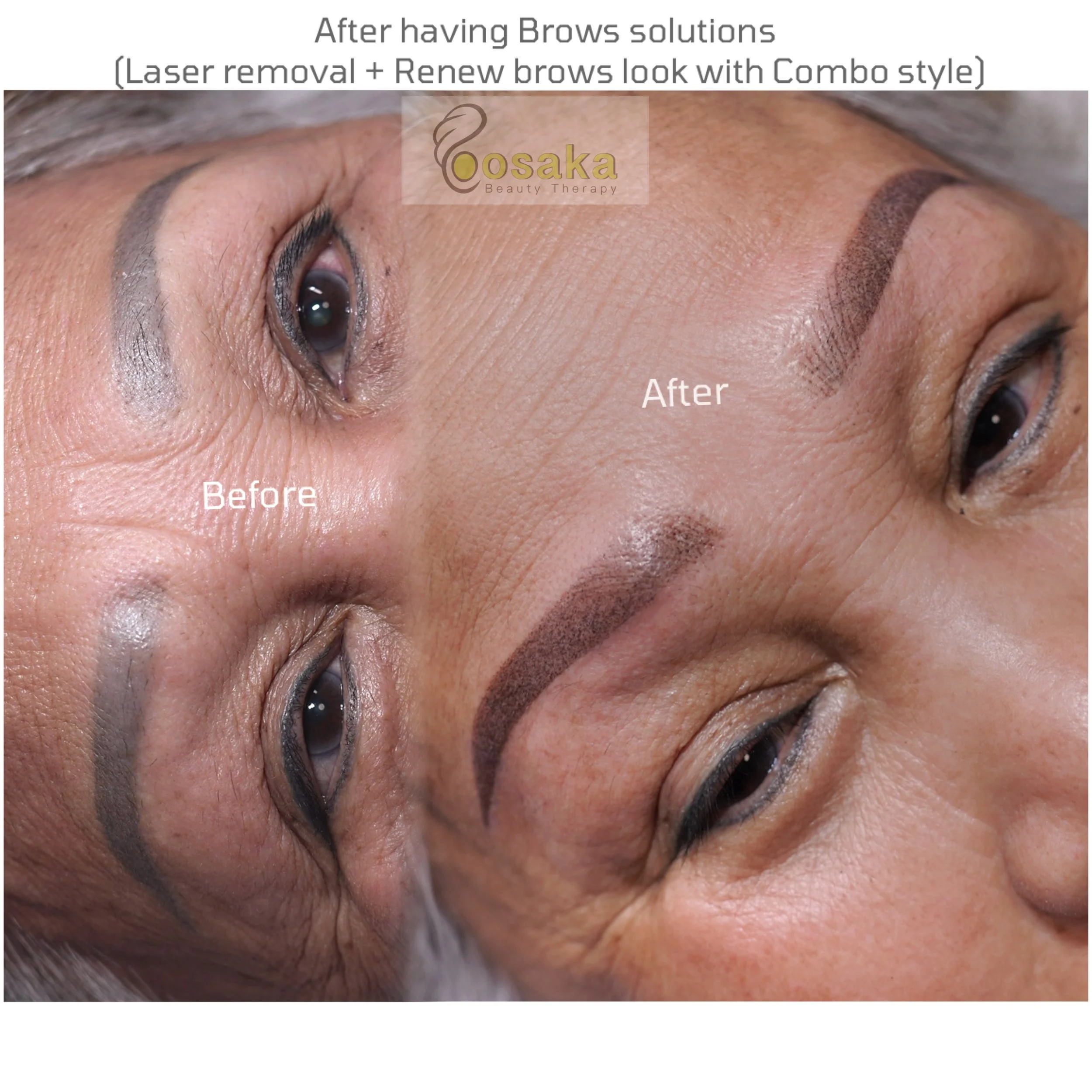Combo Brows (combined by Nano Hairstrokes + Ombre shading techniques)