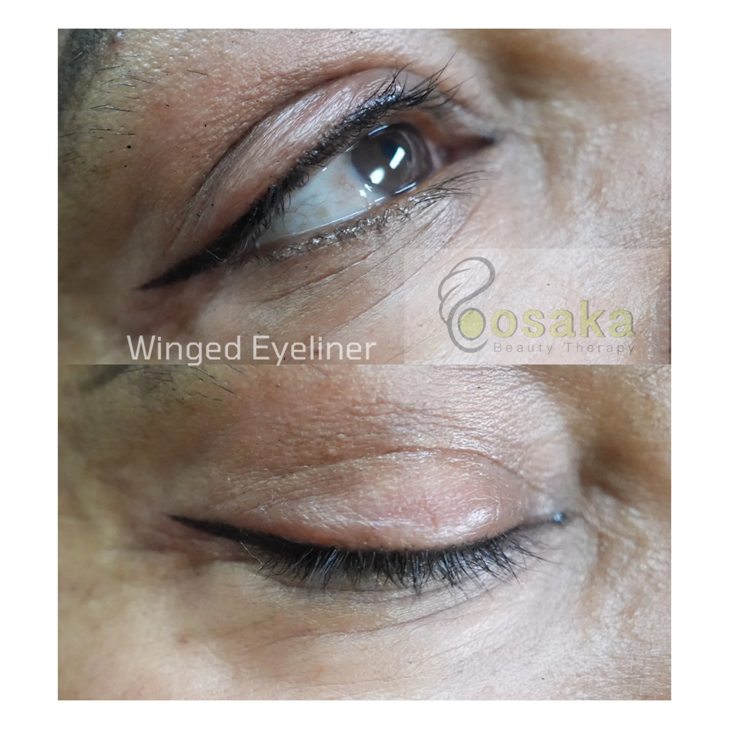 Eyeliners (Natural style or dramatic style)