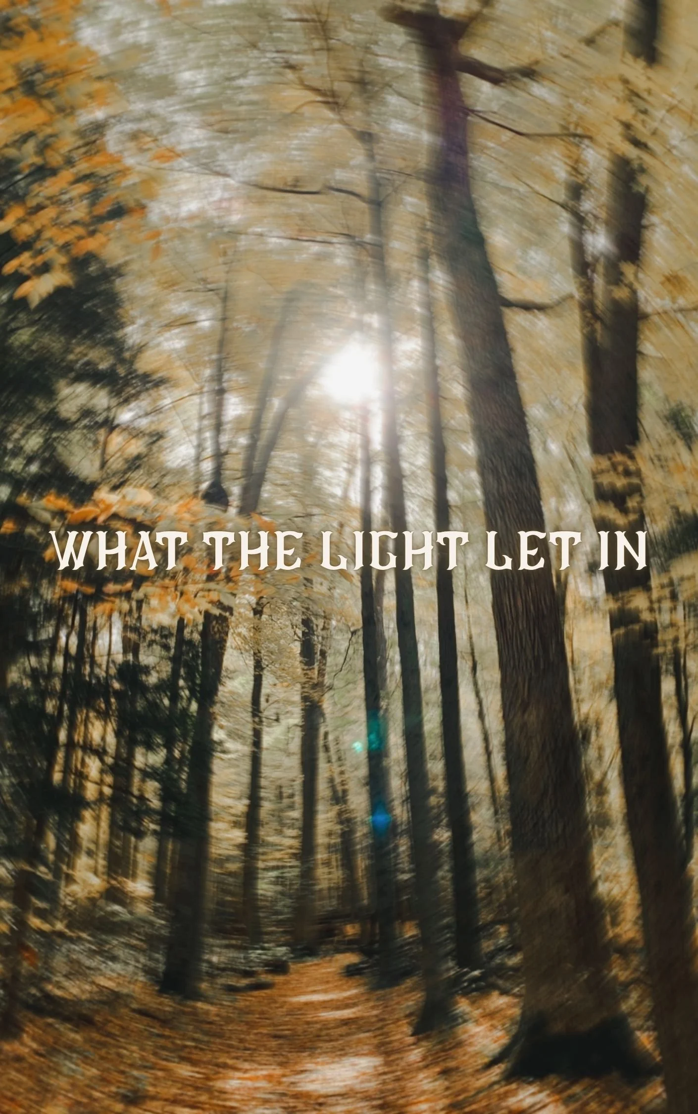 What the Light Let In
