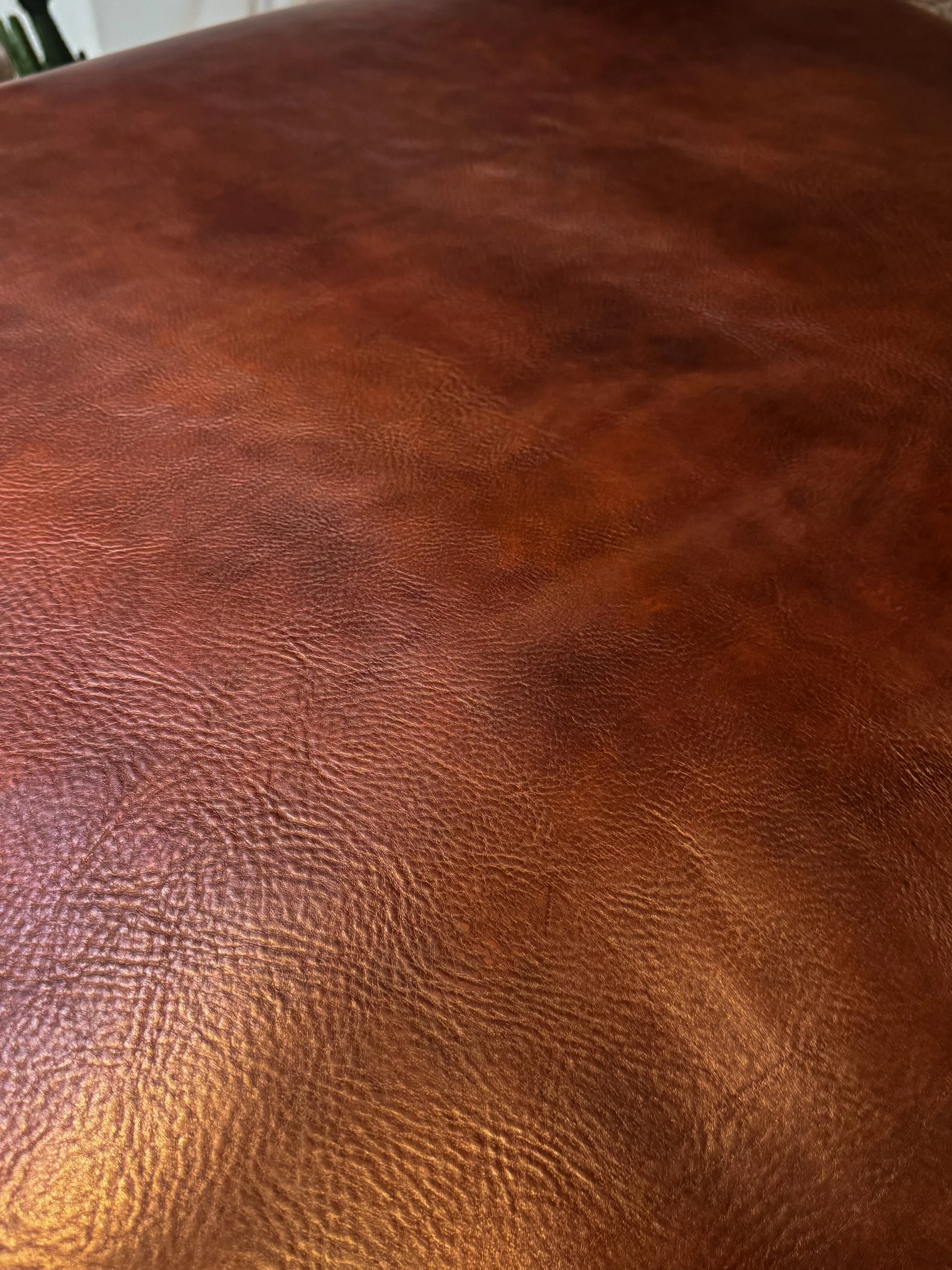 Cuir pleine fleur marron foncé