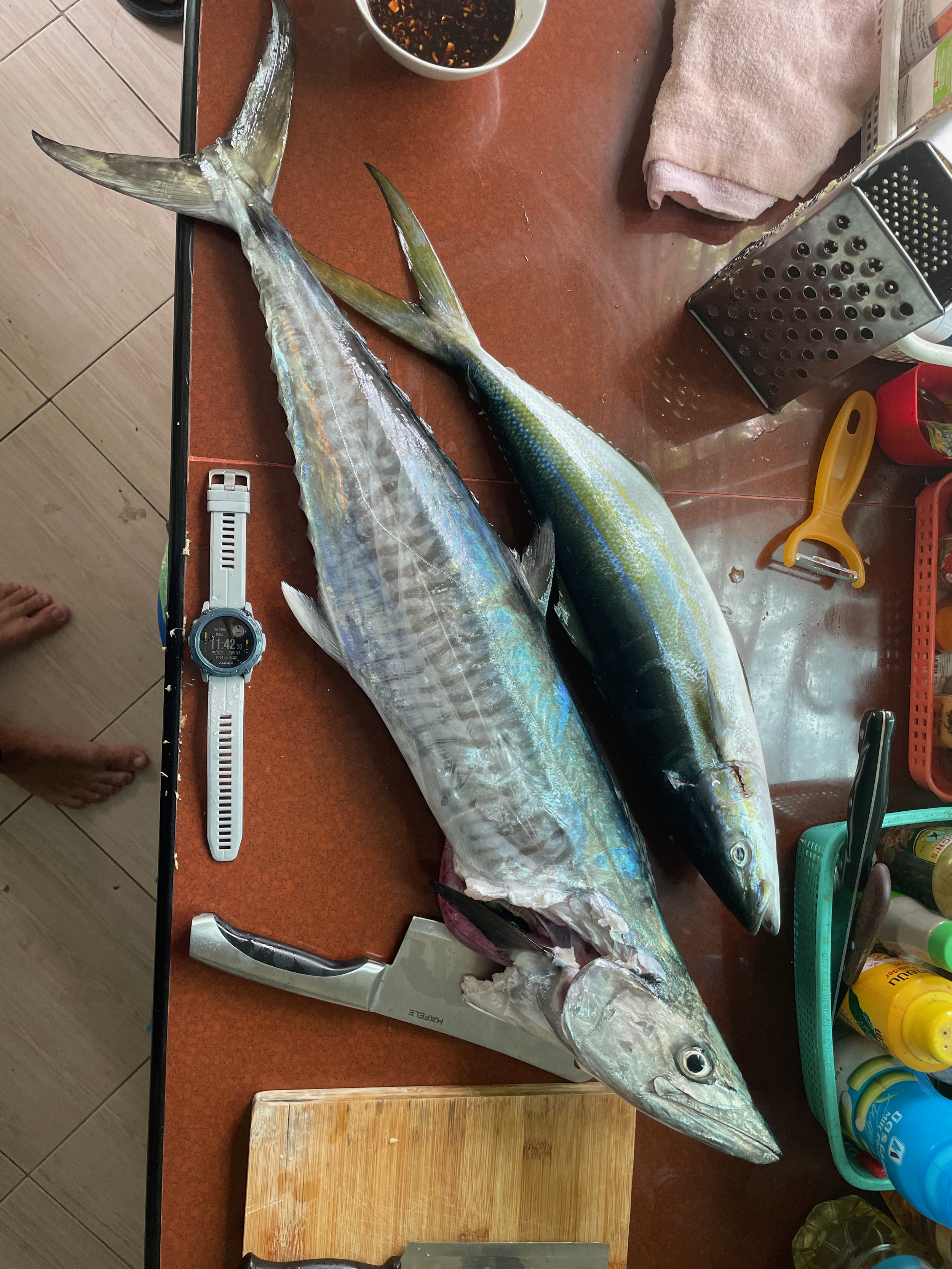 fish caught during a Phuket fishing trip