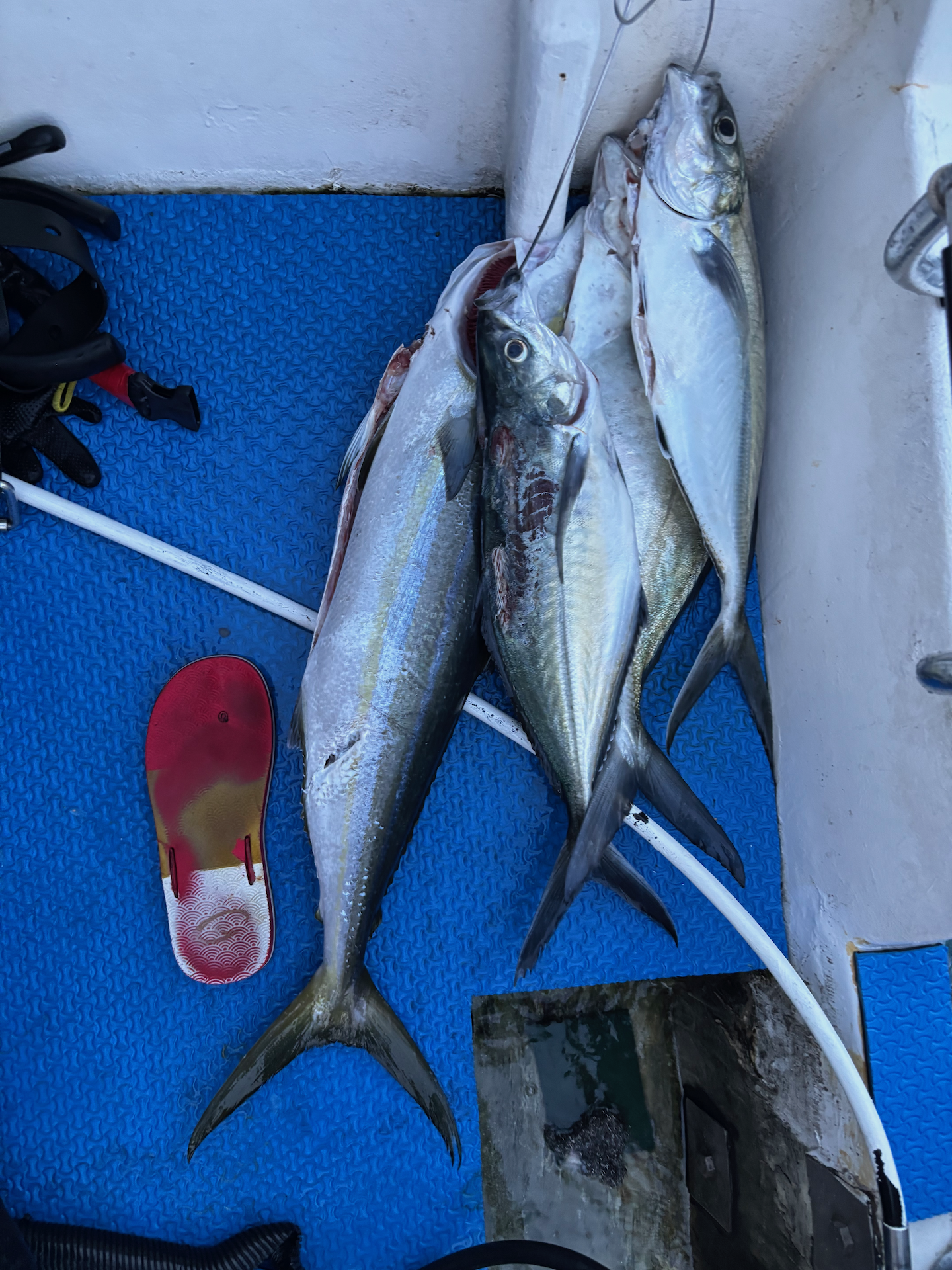 fishing in phuket