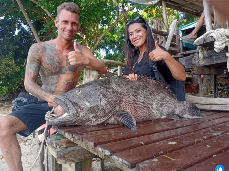 Big grouper Phuket.png