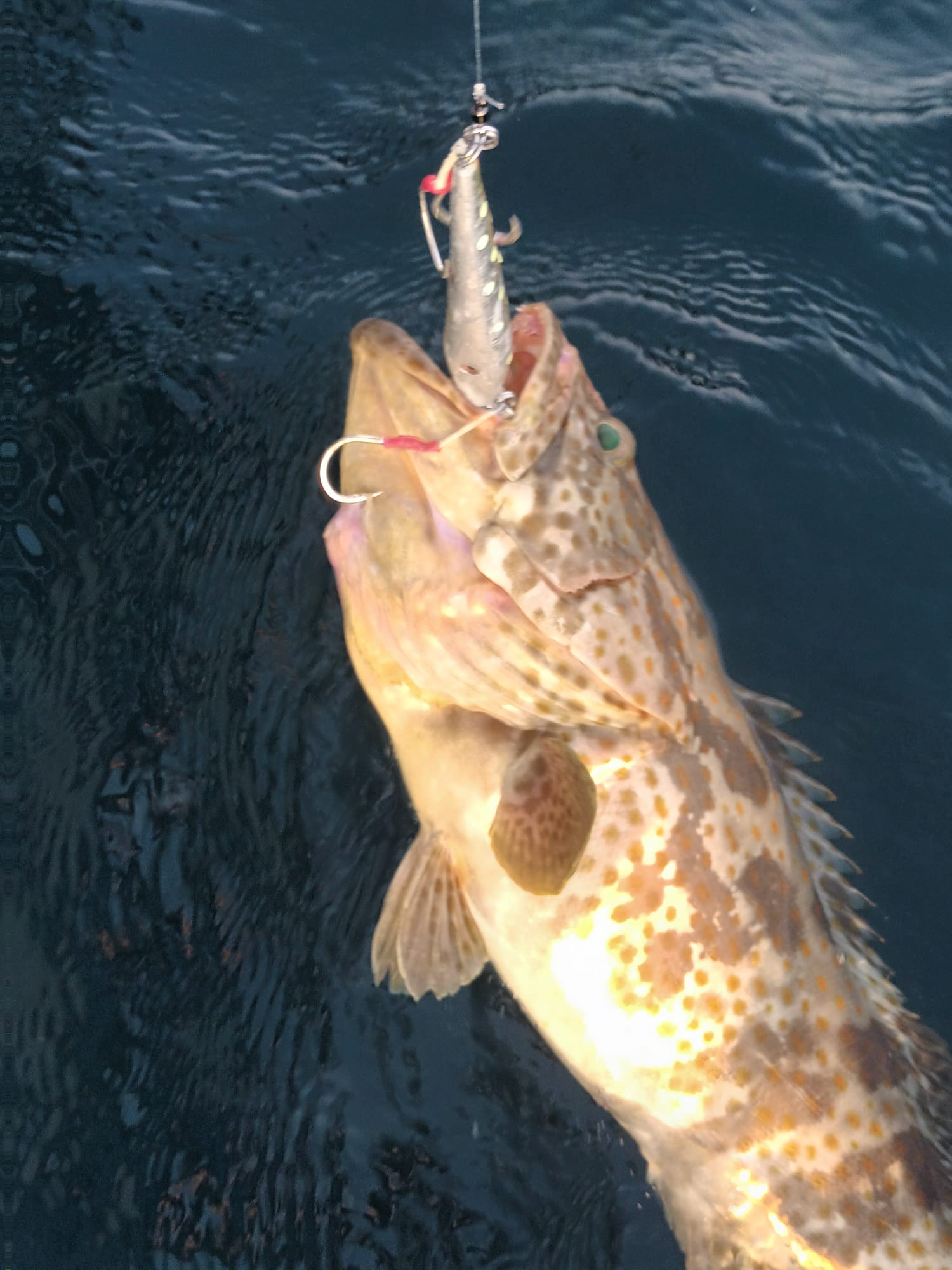 Big grouper fishing with jigging lure Phuket.png