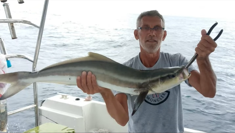 Fisherman holding cobia Phuket.png