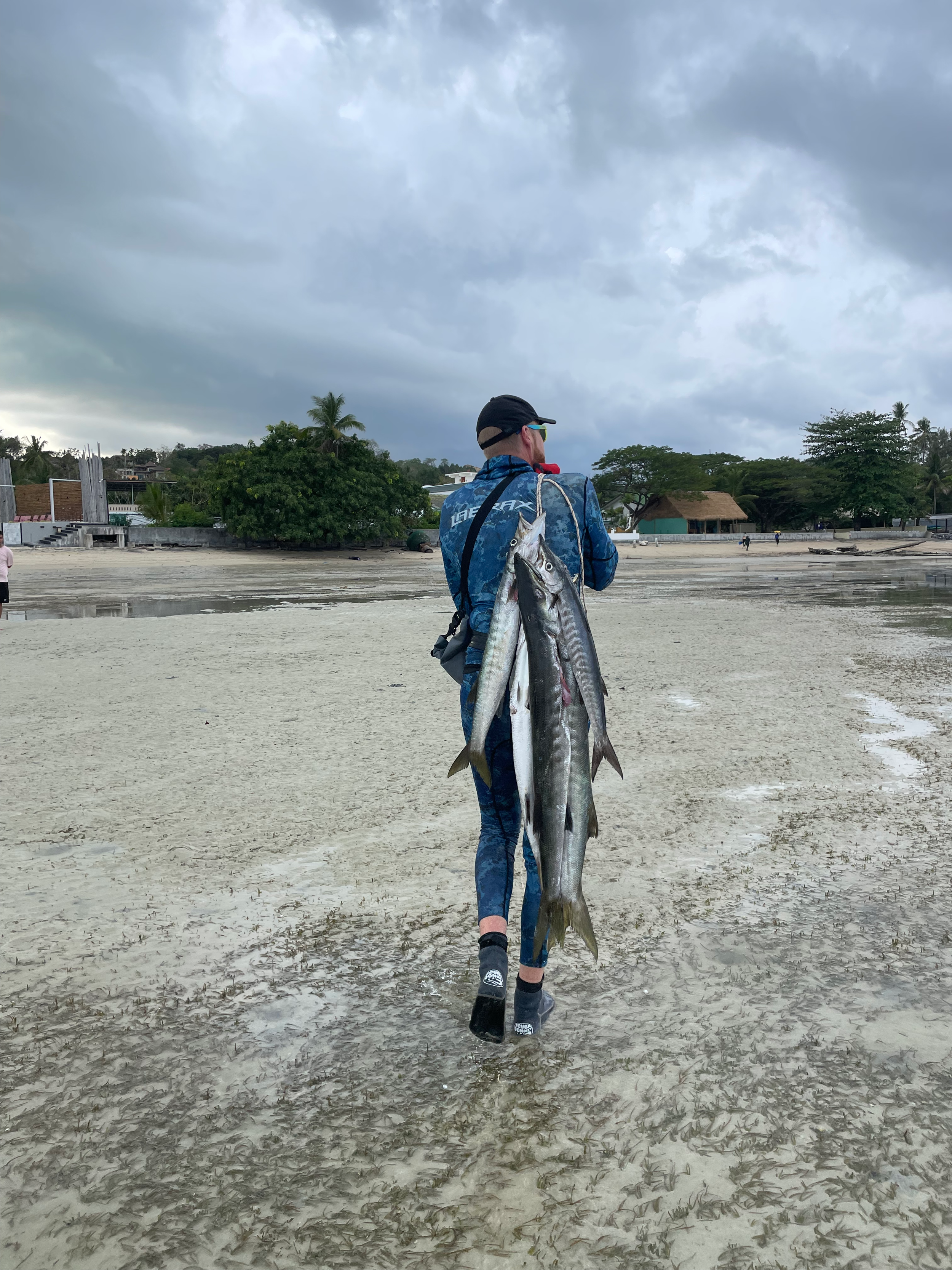 Person walking on a sandy beach carrying multiple large fish with cloudy sky and trees in the background.