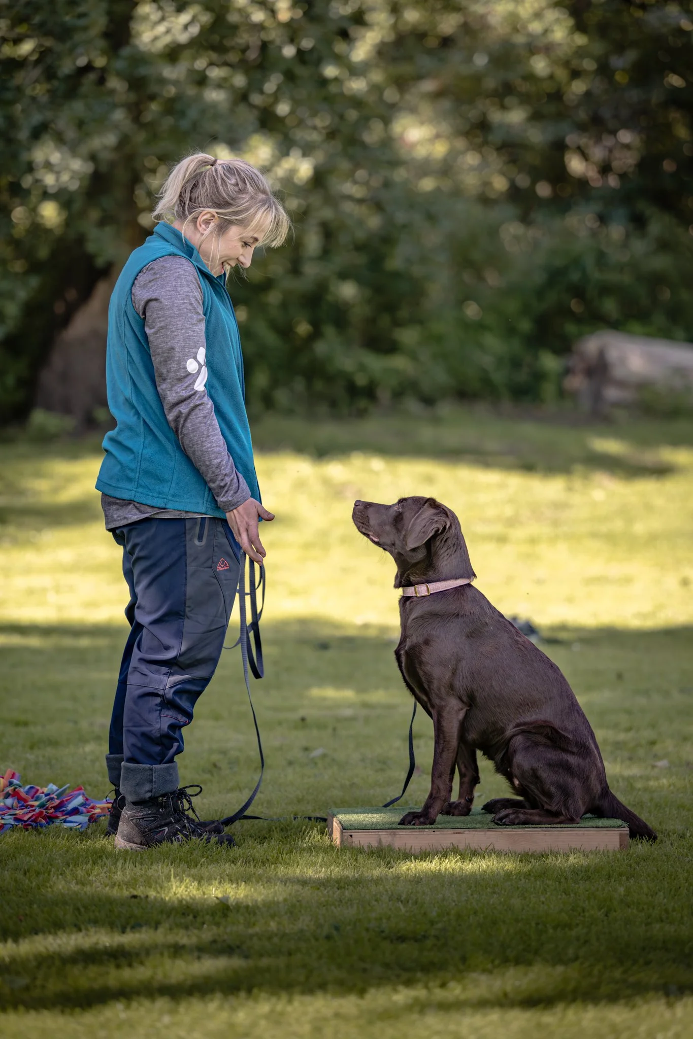 A woman with a ponytail and casual outdoor clothing stands on a grassy field outdoors, smiling and looking down at a sitting brown Labrador Retriever dog that is positioned on a small platform. The scene is set in a park with trees in the background, and the woman appears to be engaging in a training or bonding activity with the dog.