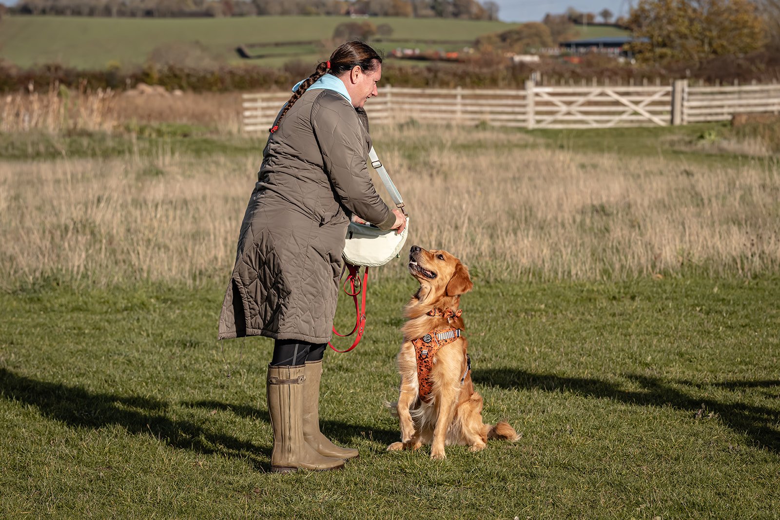 A woman and a golden retriever dog in a field. The woman is wearing a long coat and rain boots, and the dog is sitting and wearing a harness.