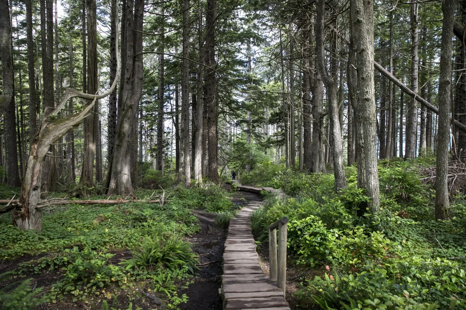Search ends for 2 missing hikers at WA’s Cape Flattery