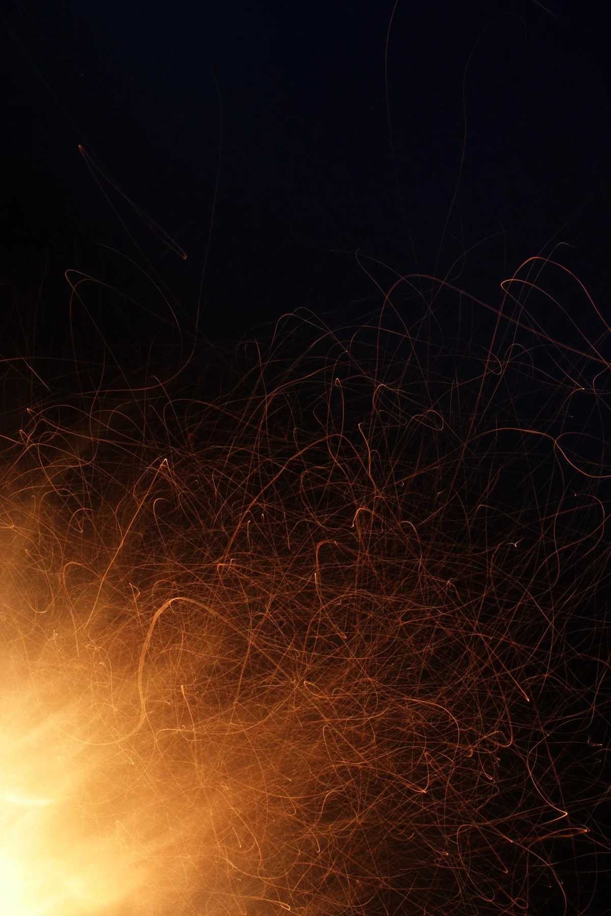 d29a2699-d506-4f9f-b78c-ac382a309783_rw_1200.jpeg