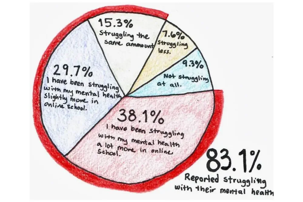 The Kids Are Not Alright: Online School and Mental Health