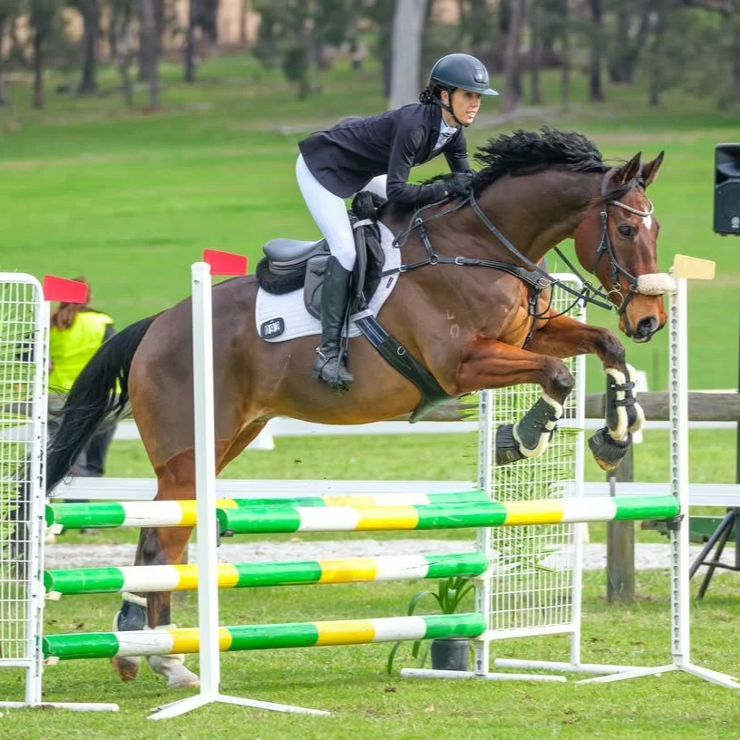 A person riding a brown horse in a black helmet and riding attire jumping over a colorful obstacle during a horseback riding competition outdoors on grass.