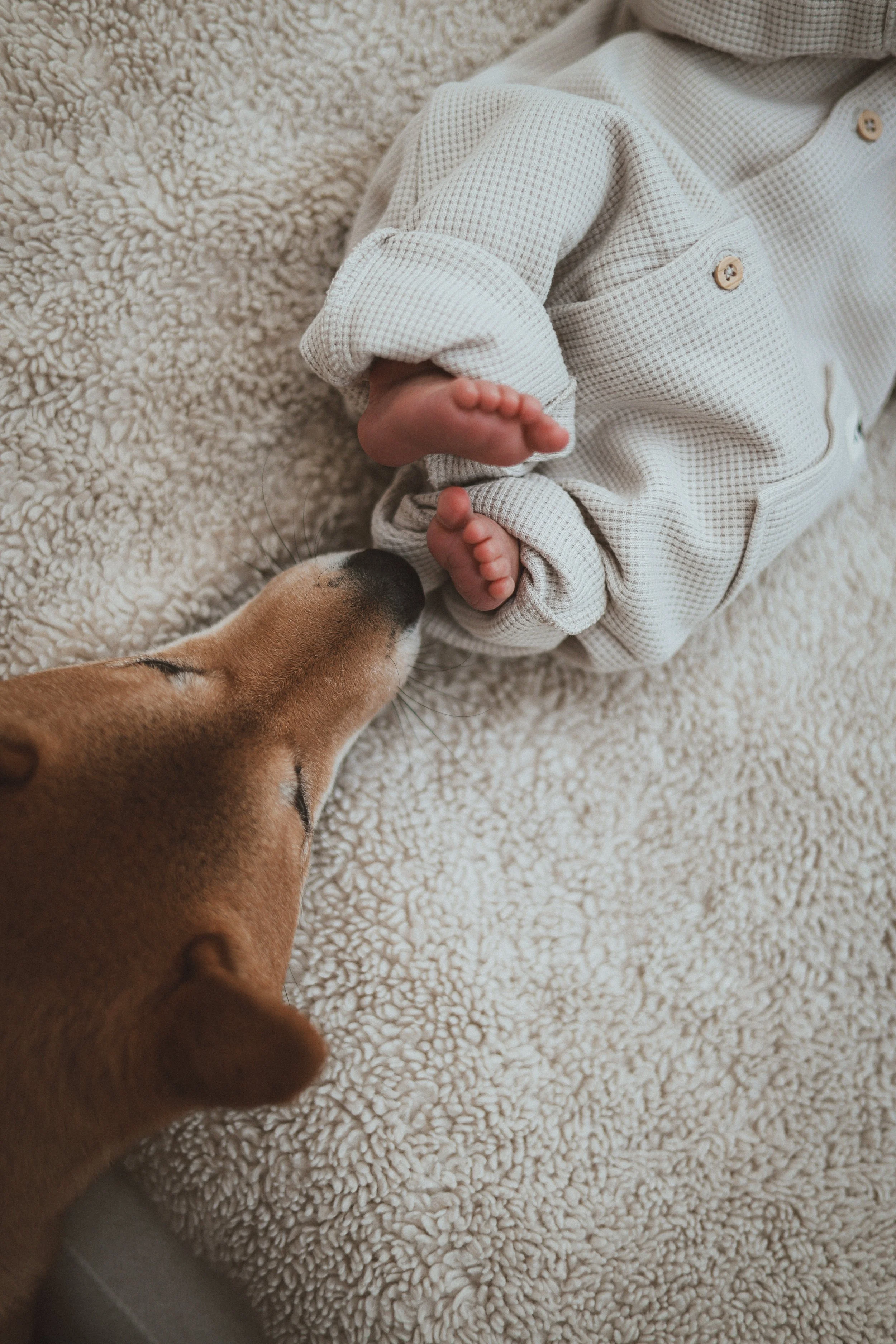 Un bébé allongé sur un tapis en peluche beige avec un chien poussant son museau contre le bébé.