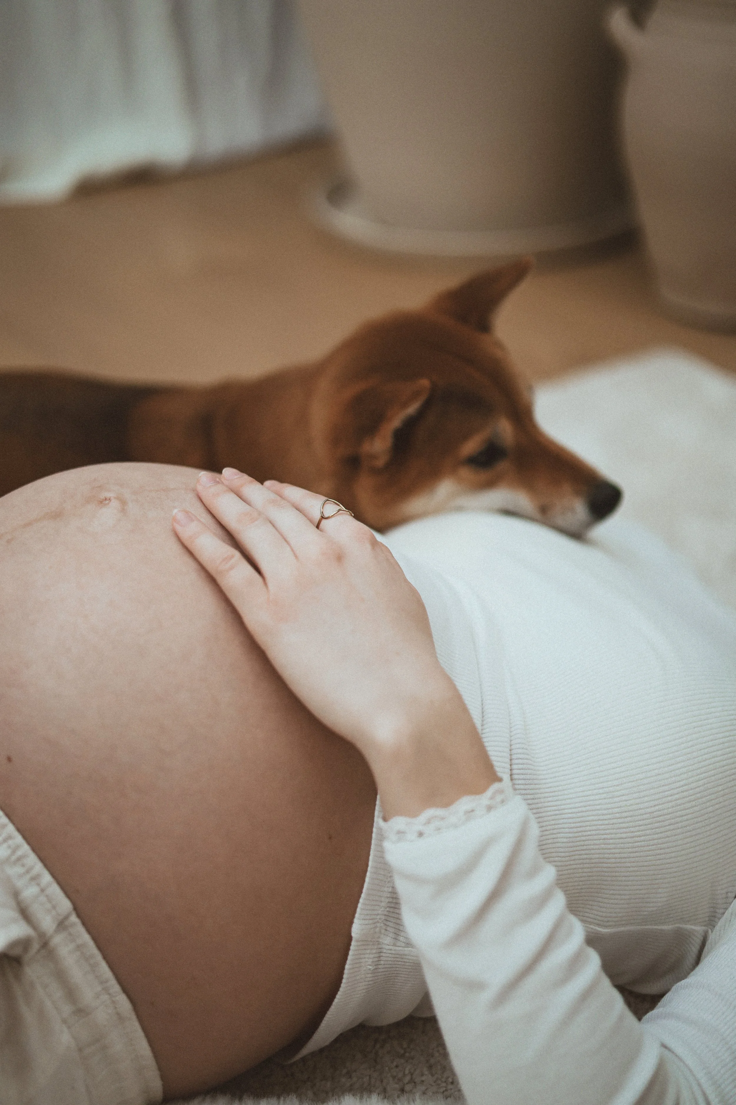 femme enceinte et son chien