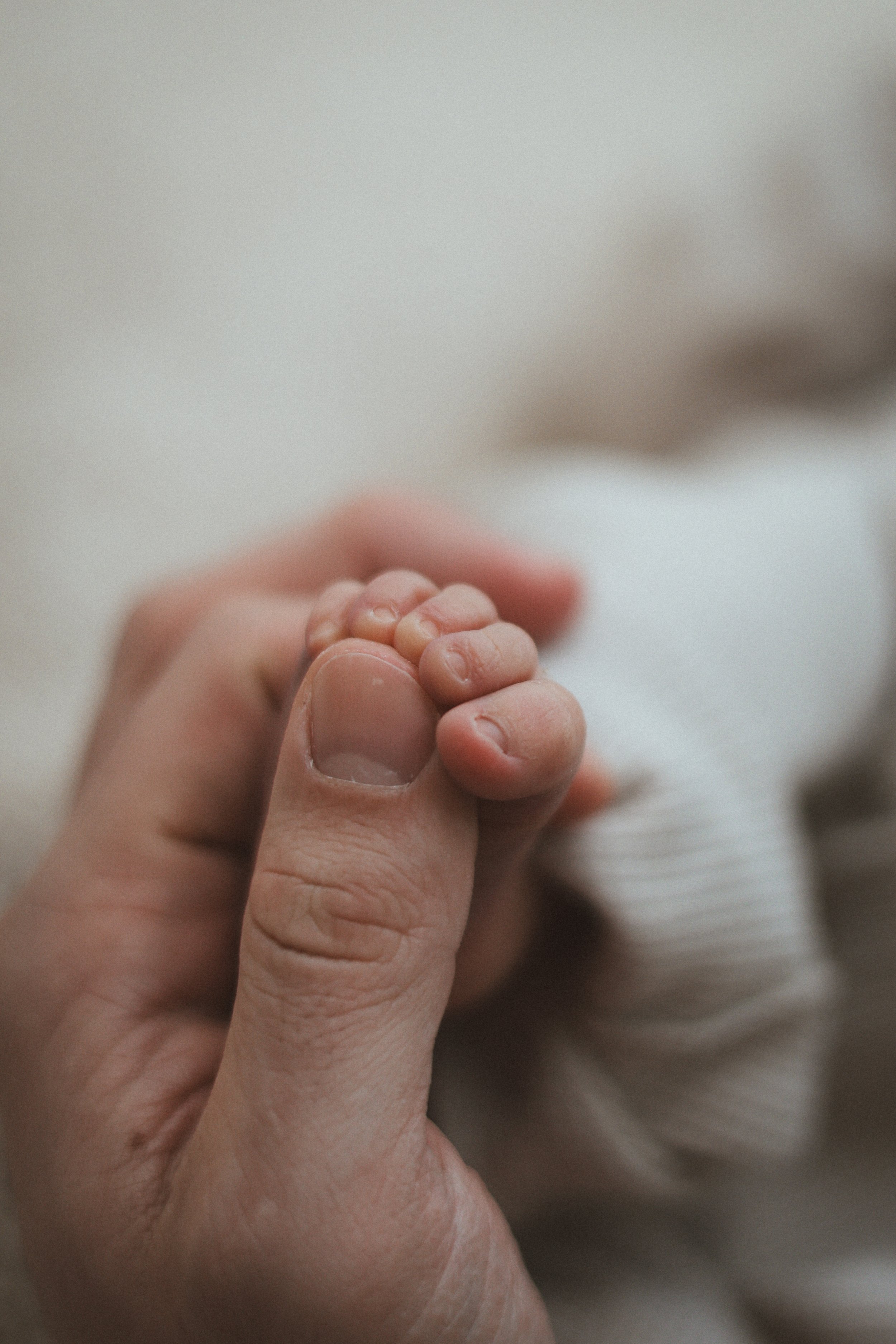 Un adulte tenant un petit doigt d'enfant avec une main de bébé.