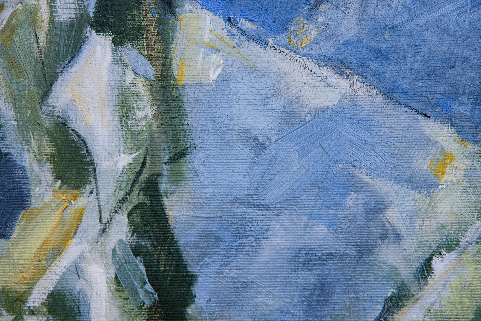 48407b7f-0ab0-454e-9b01-1eaa1188163f_rw_1920.jpg