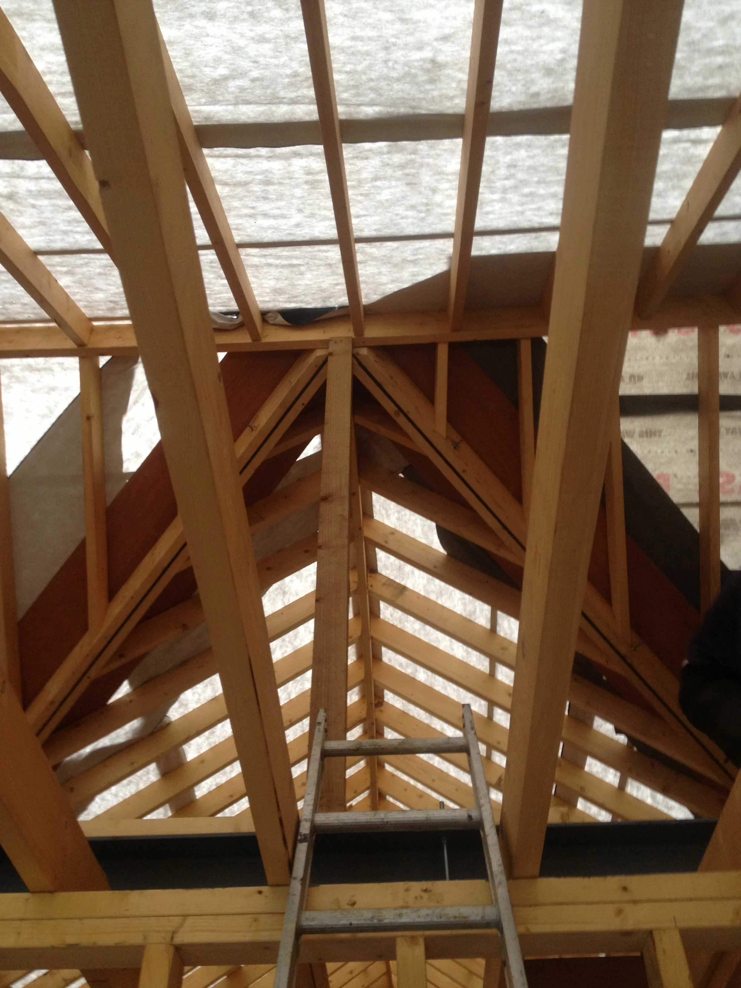 Recovered_jpg_file(13223).jpg
