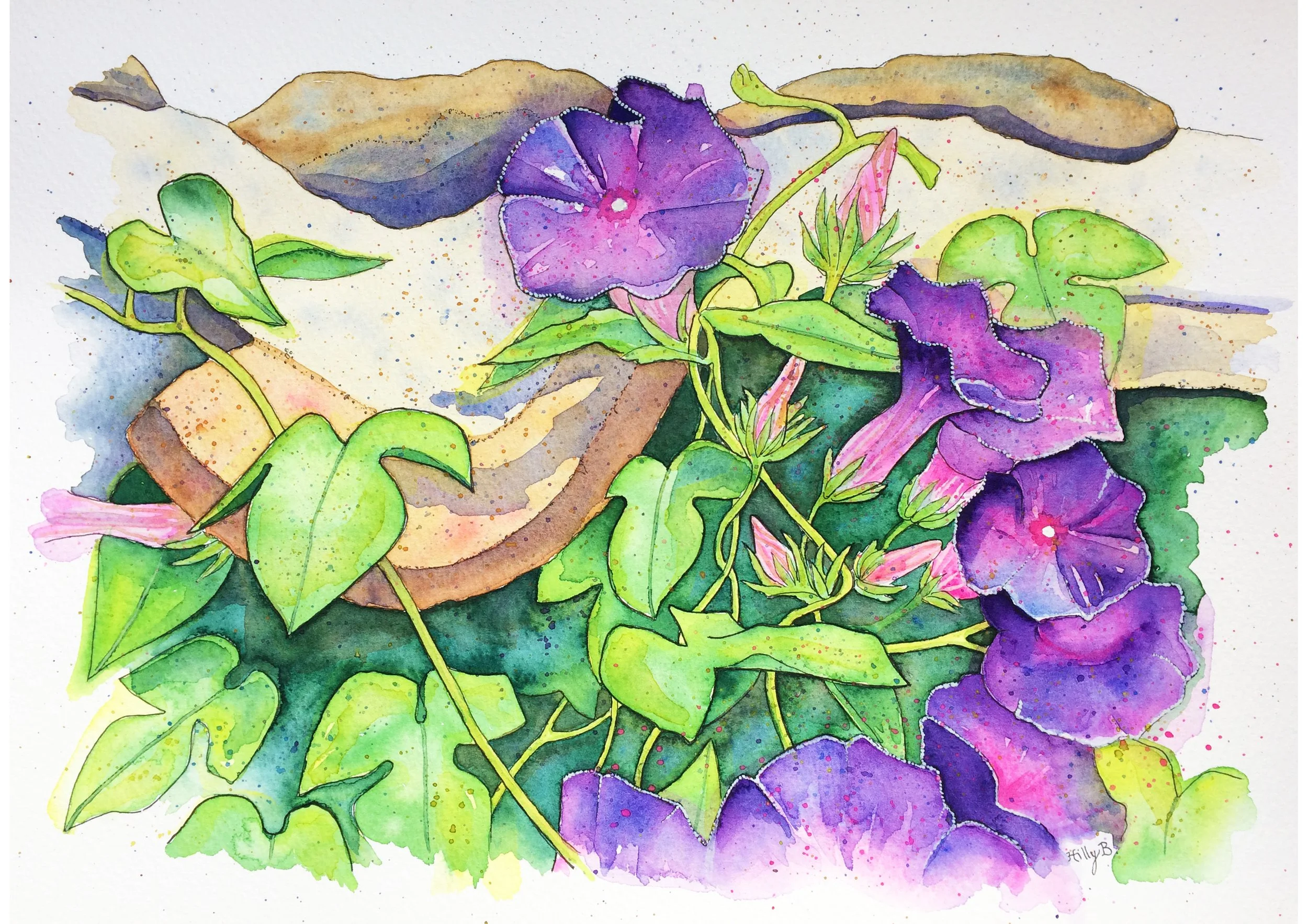 Morning Glory .jpg