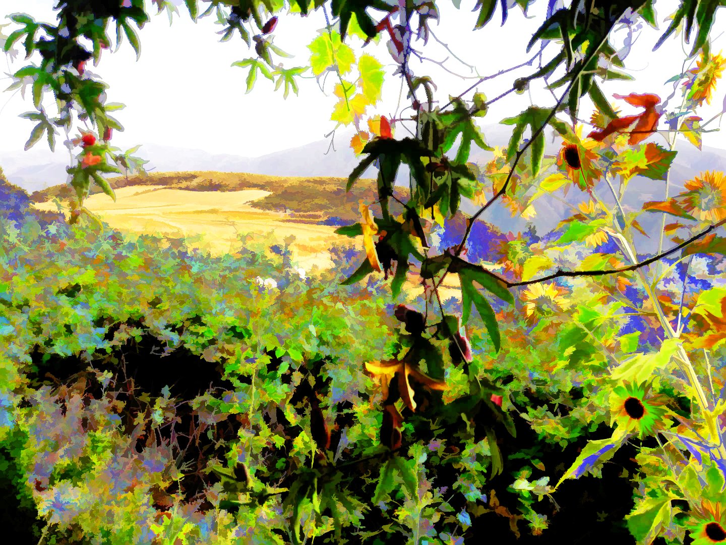 Gareth's Garden Other 1.jpg