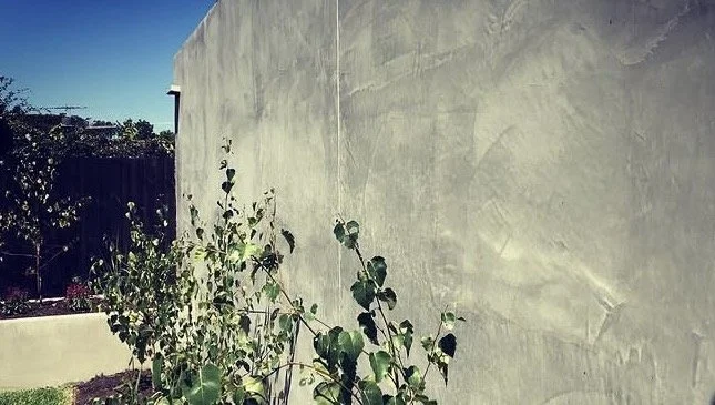 A beige unfinished wall with some green plants growing near its base