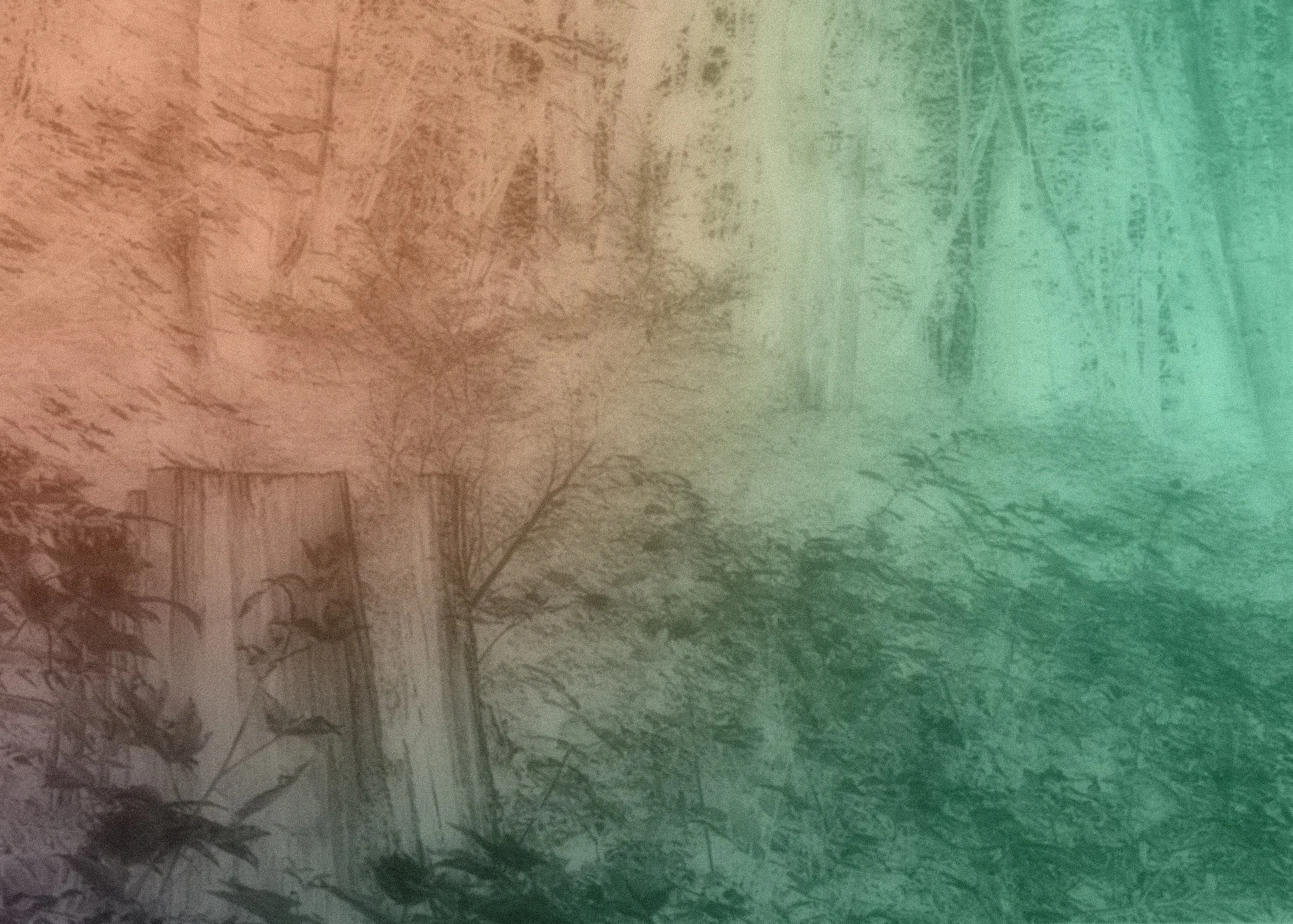 A sketch of a tree with multiple branches and leaves, with a gradient overlay of red, beige, and green colors.