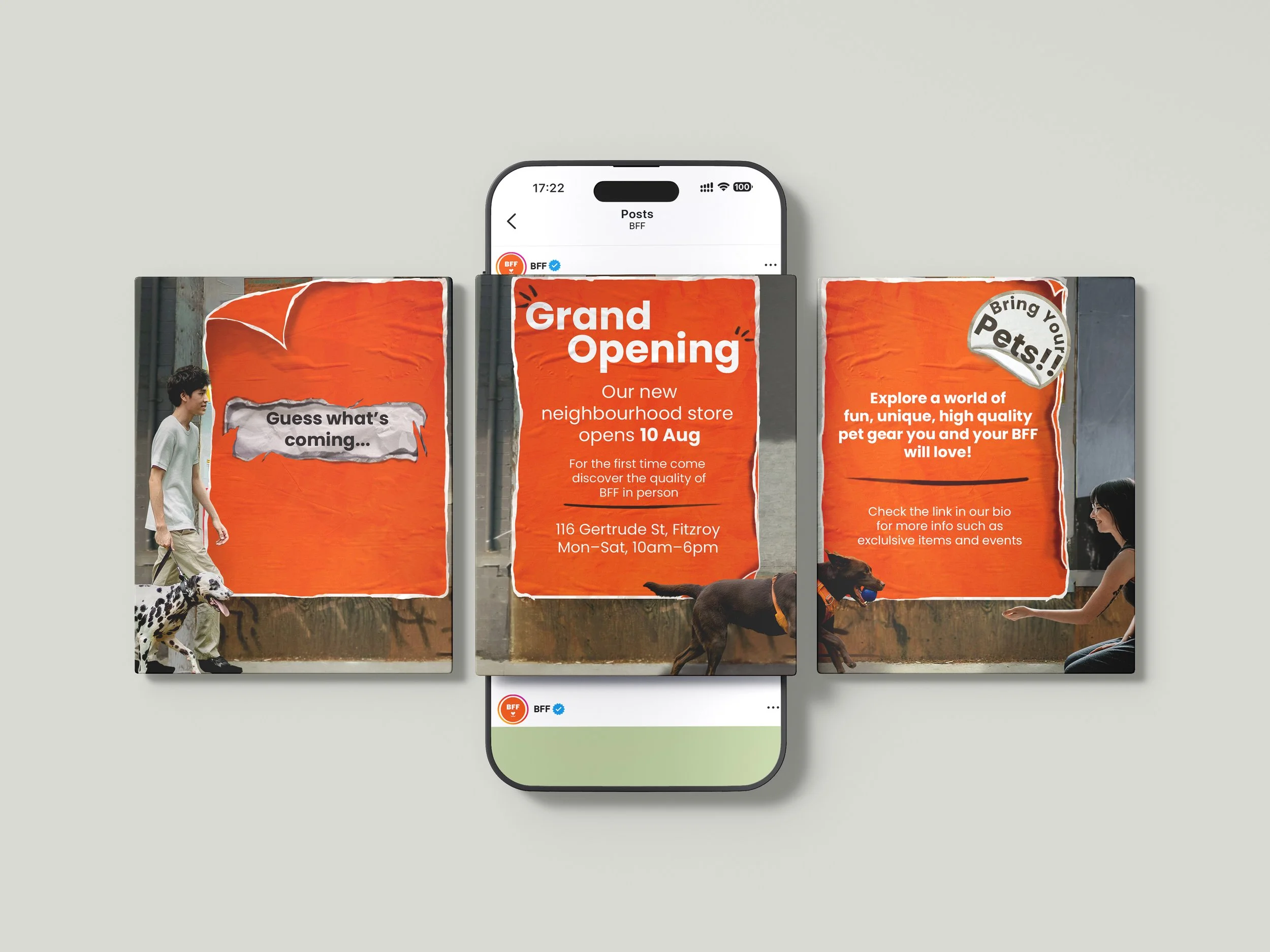 Carousel_Mockup.jpg