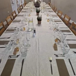 Long dining table set for a gathering with glasses, plates, cutlery, small potted plants, and place cards under natural lighting.