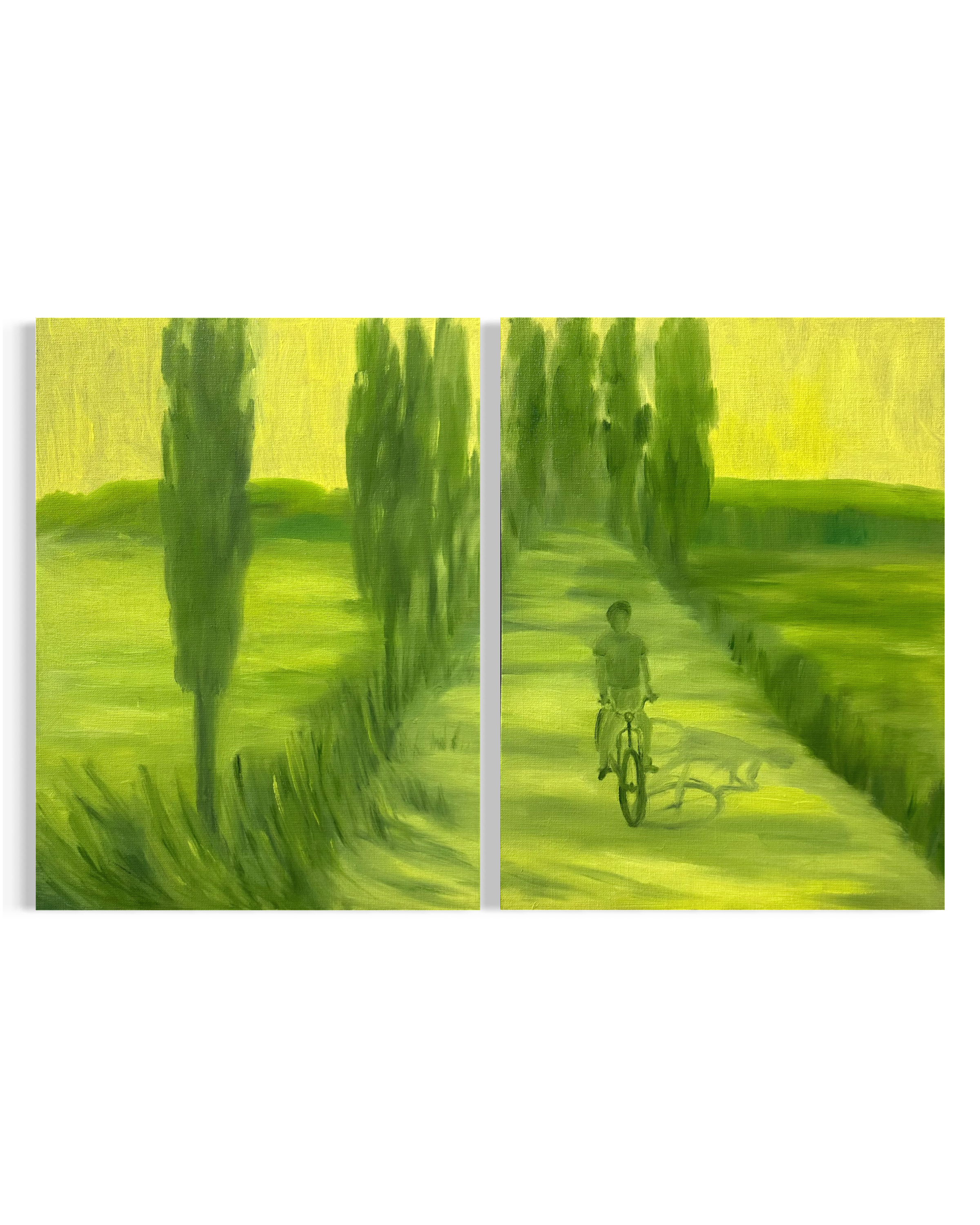 IMG_4617.PNG