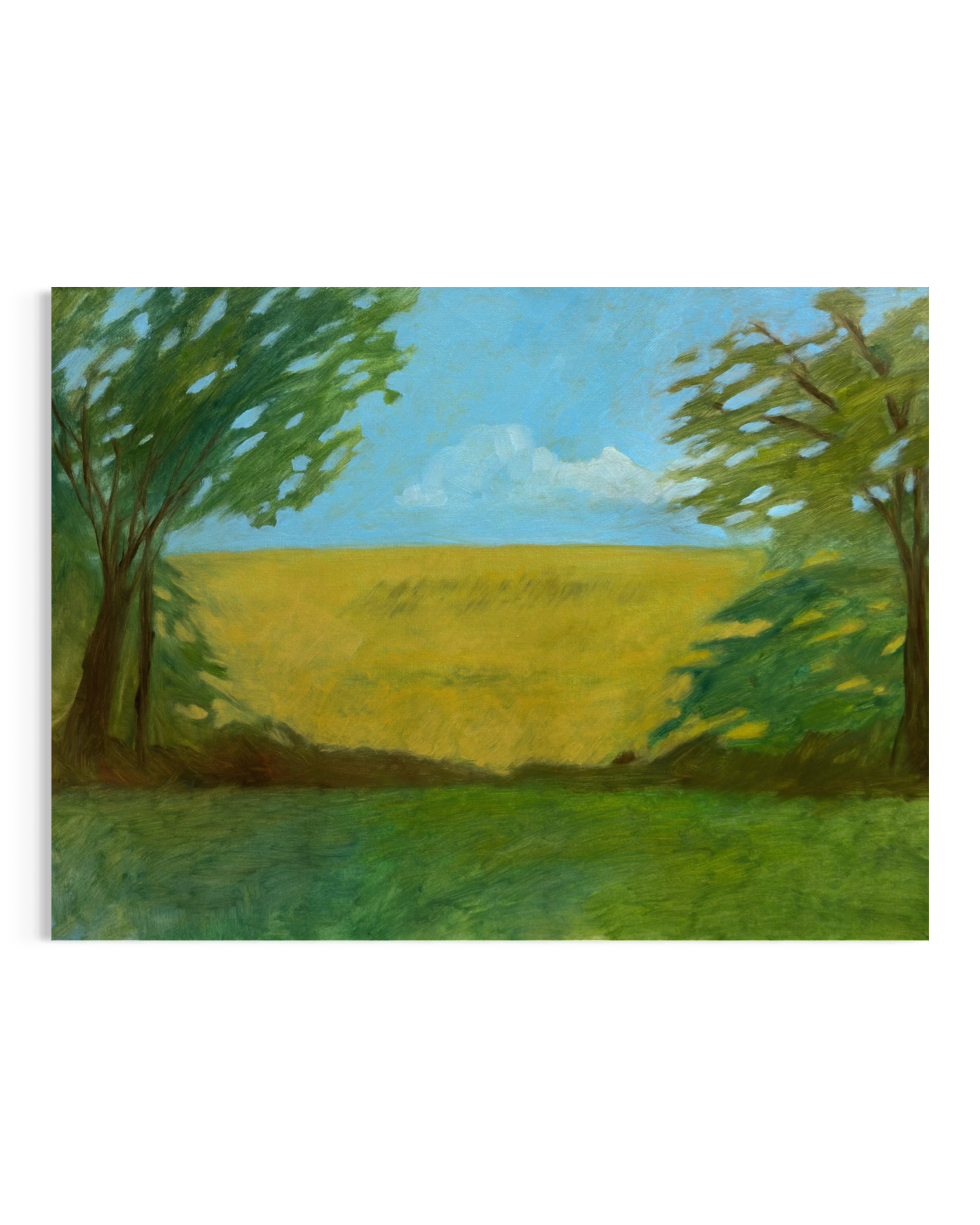 IMG_4624.PNG