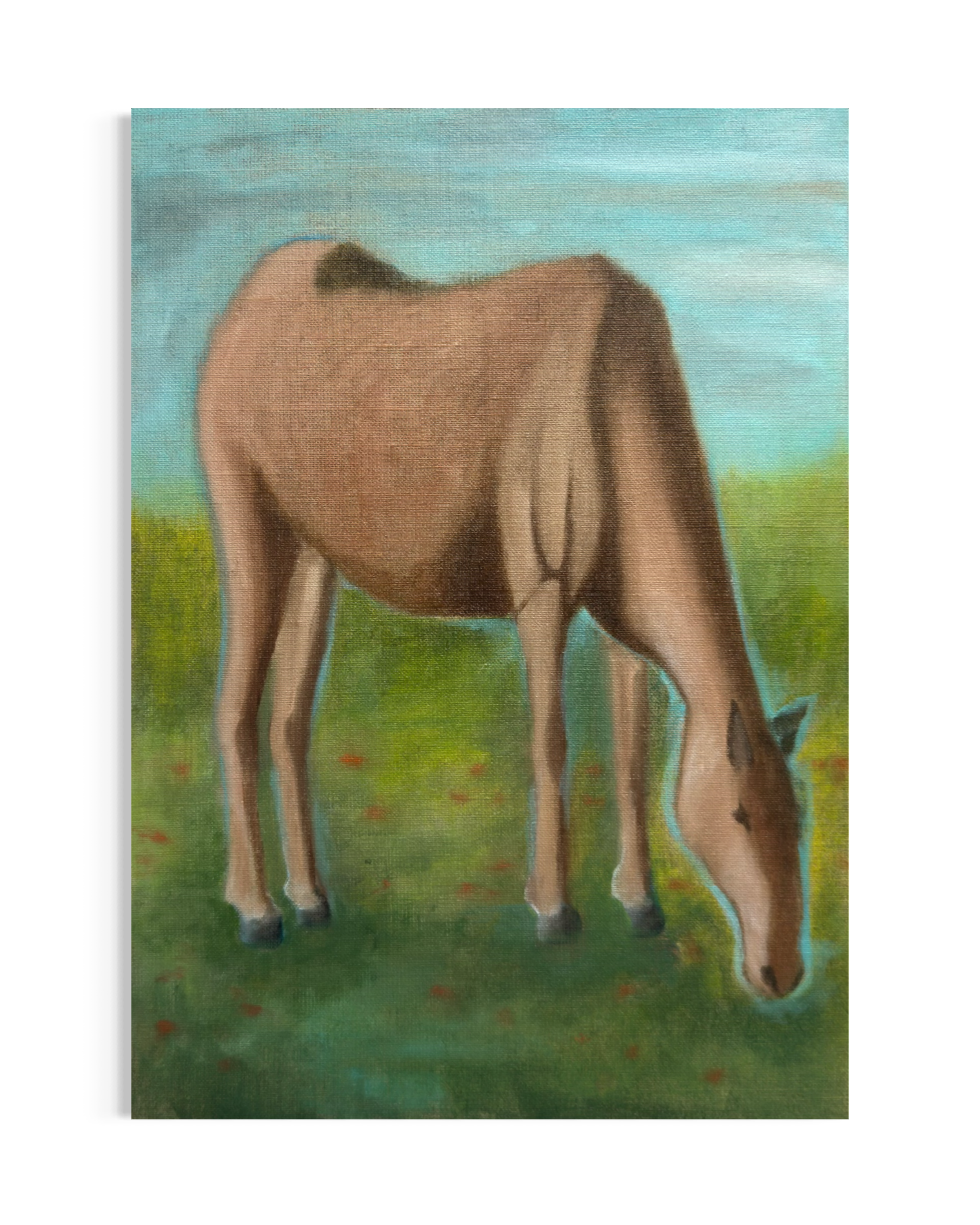 IMG_4621.PNG