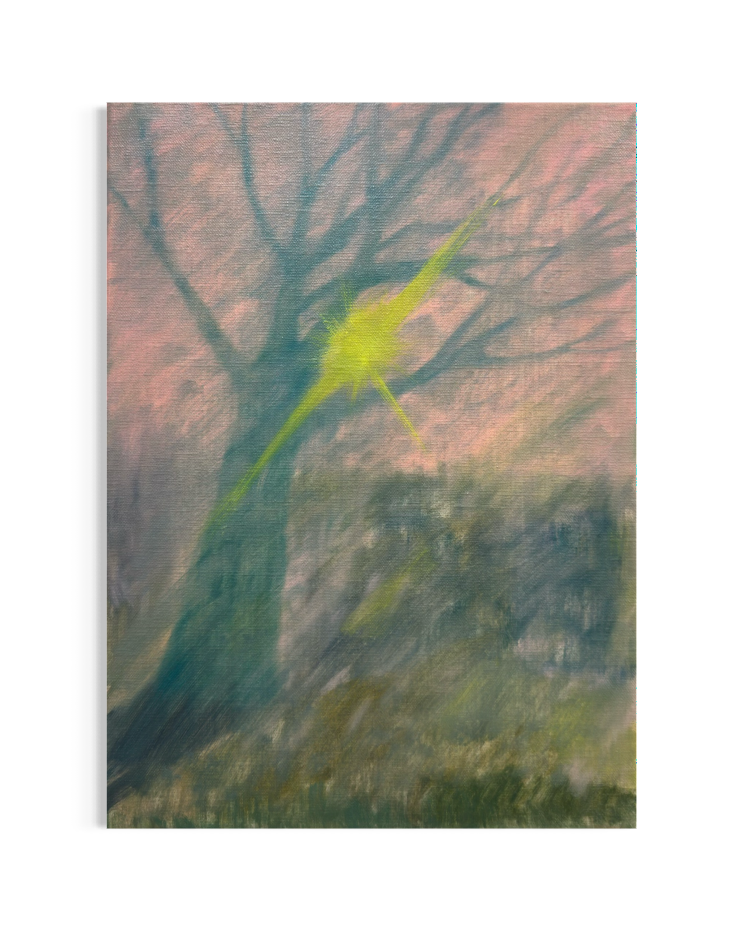 IMG_5454.PNG
