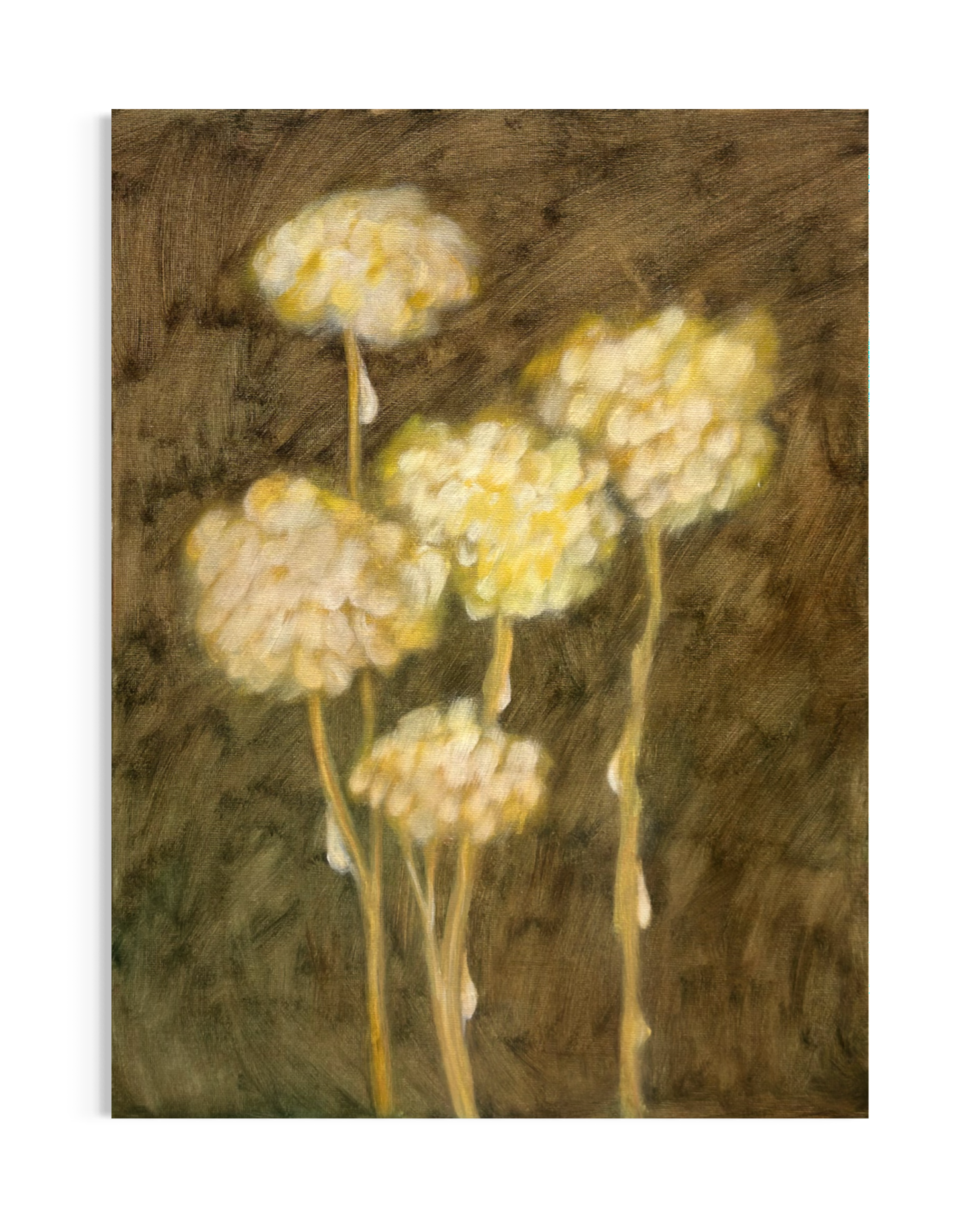 IMG_6357.PNG