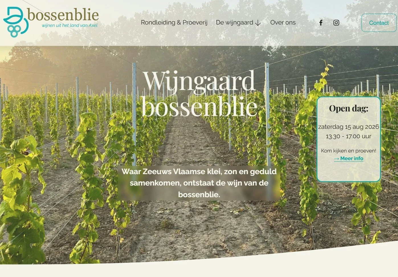 Website gemaakt door Wepzz recente project wijgaard bissenblie